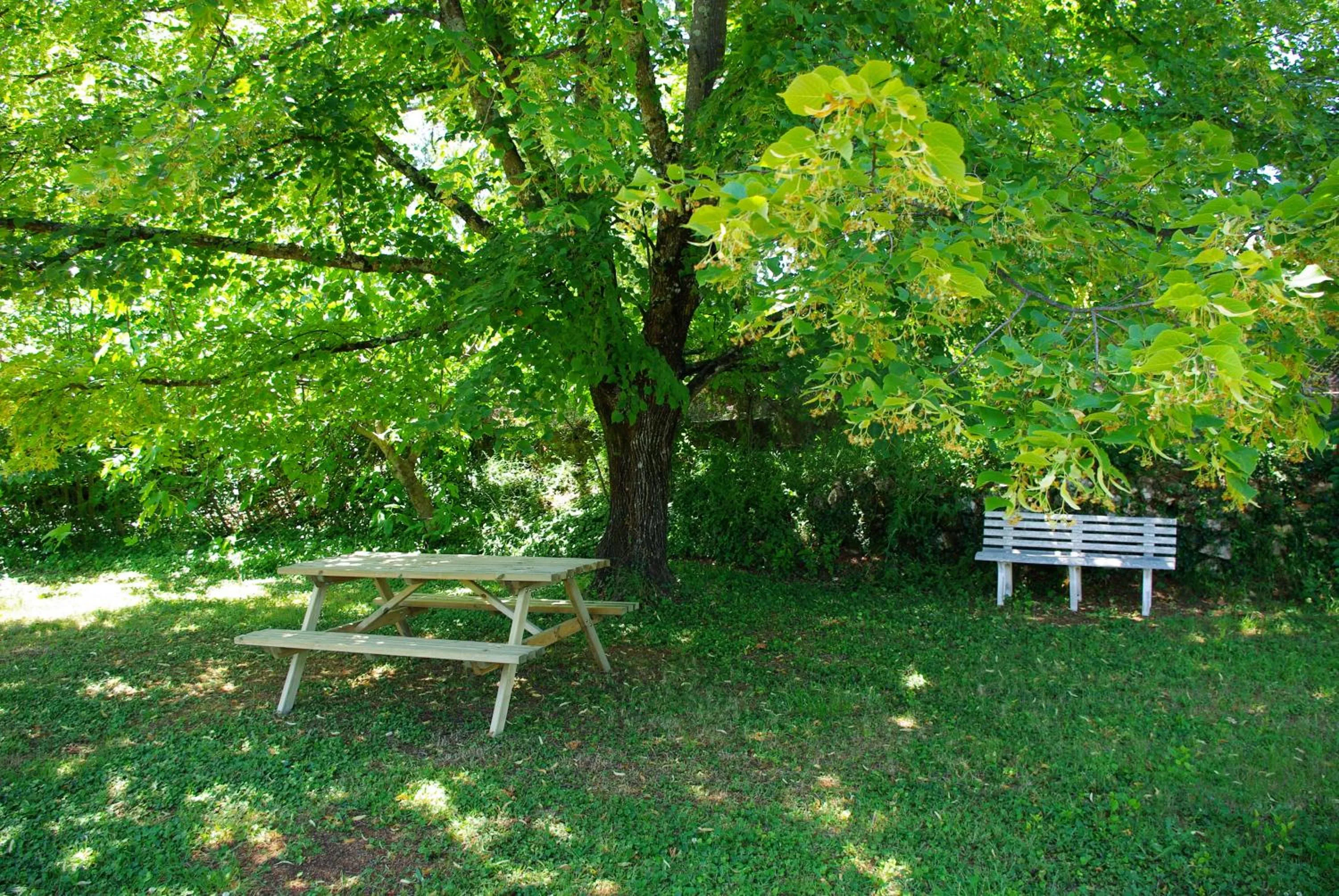 Garden in Chambres d'Hôtes Carpe Diem