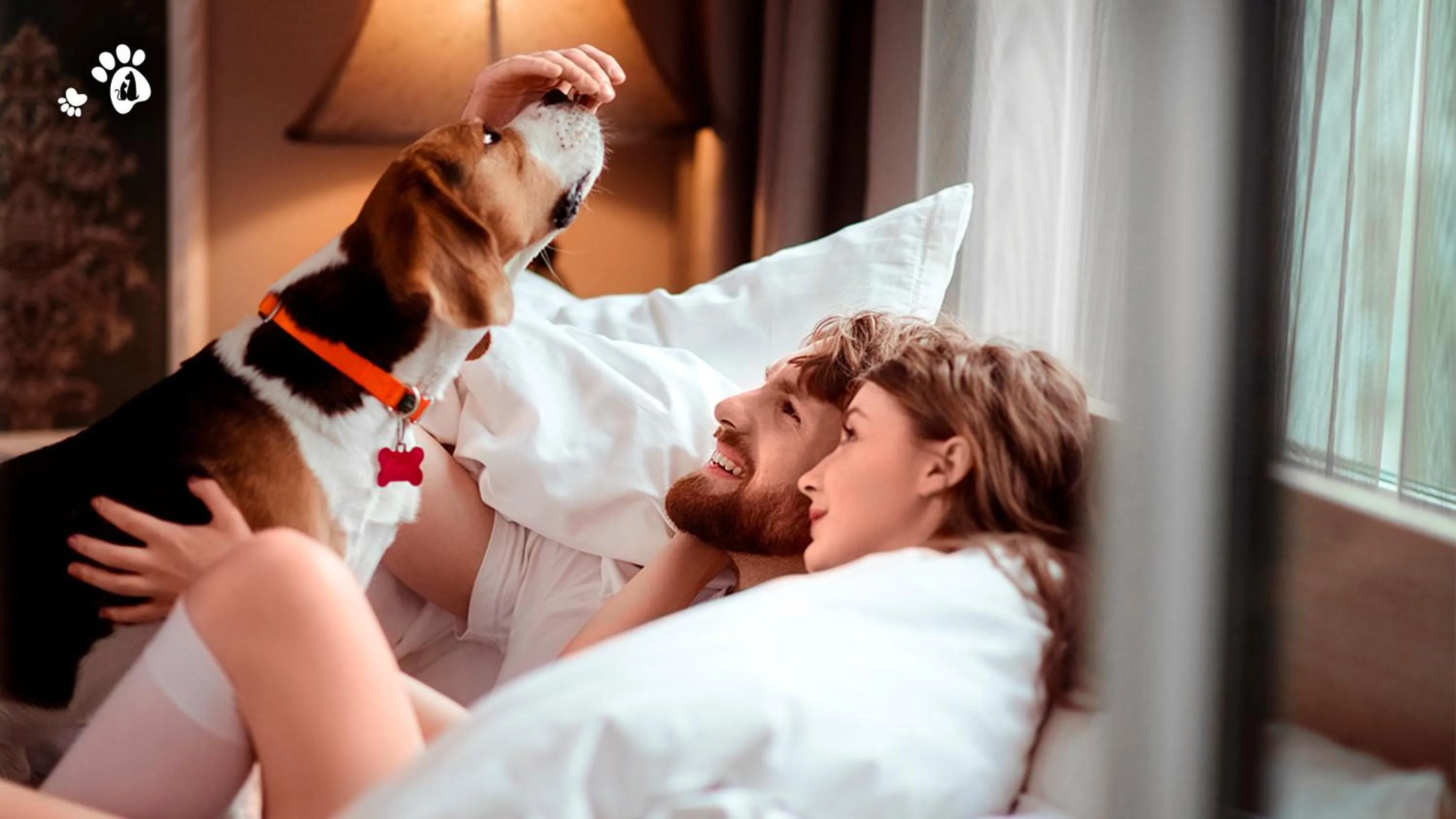 Other in Holiday Inn & Suites - Aguascalientes by IHG