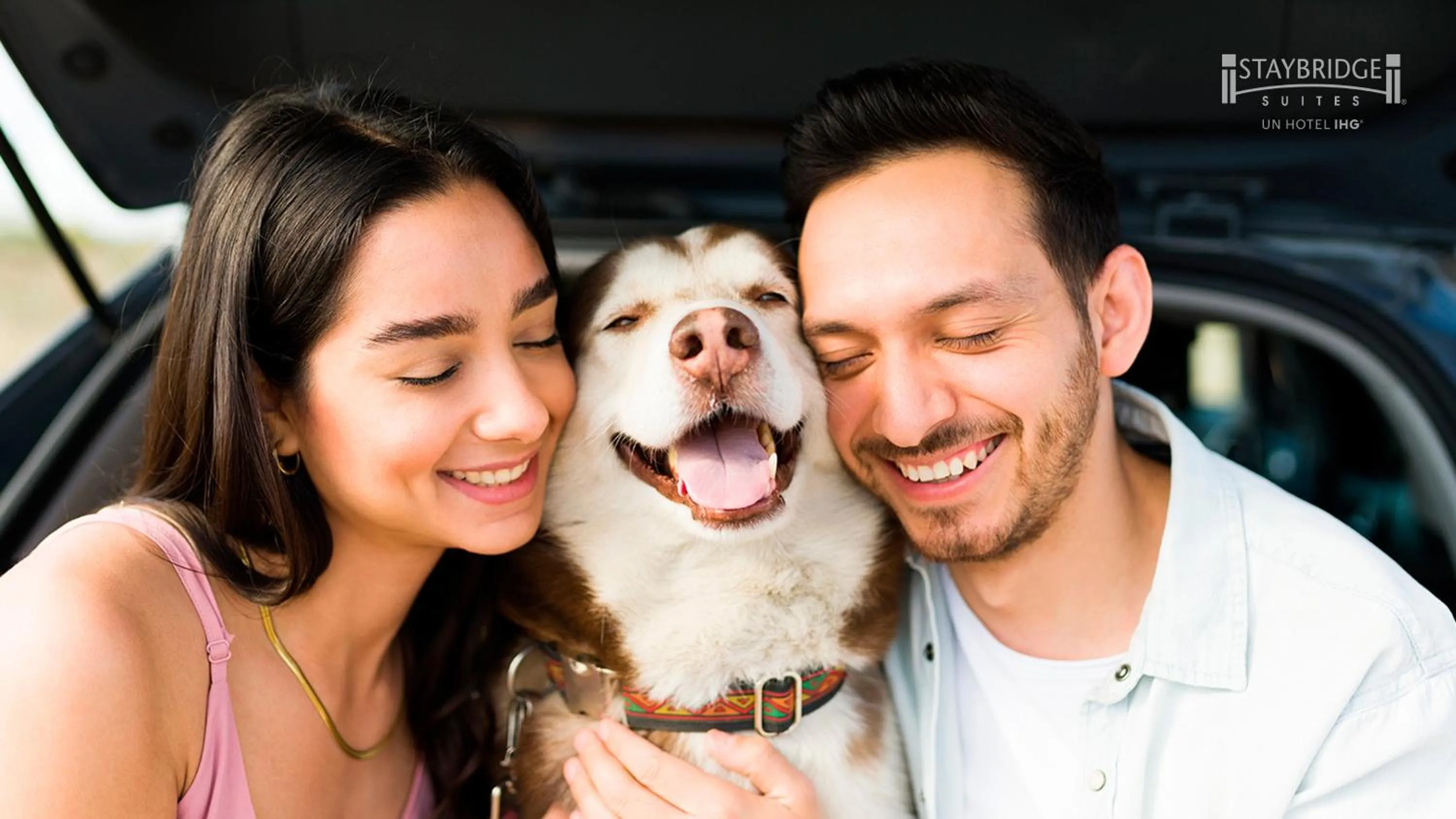 Other in Staybridge Suites - Saltillo, an IHG Hotel