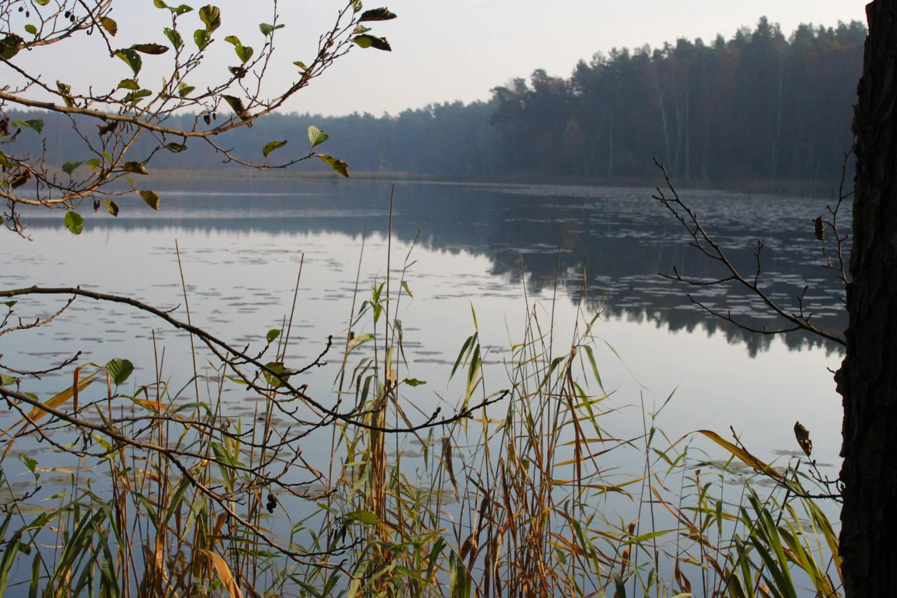Canoeing in Residenz am Ostufer