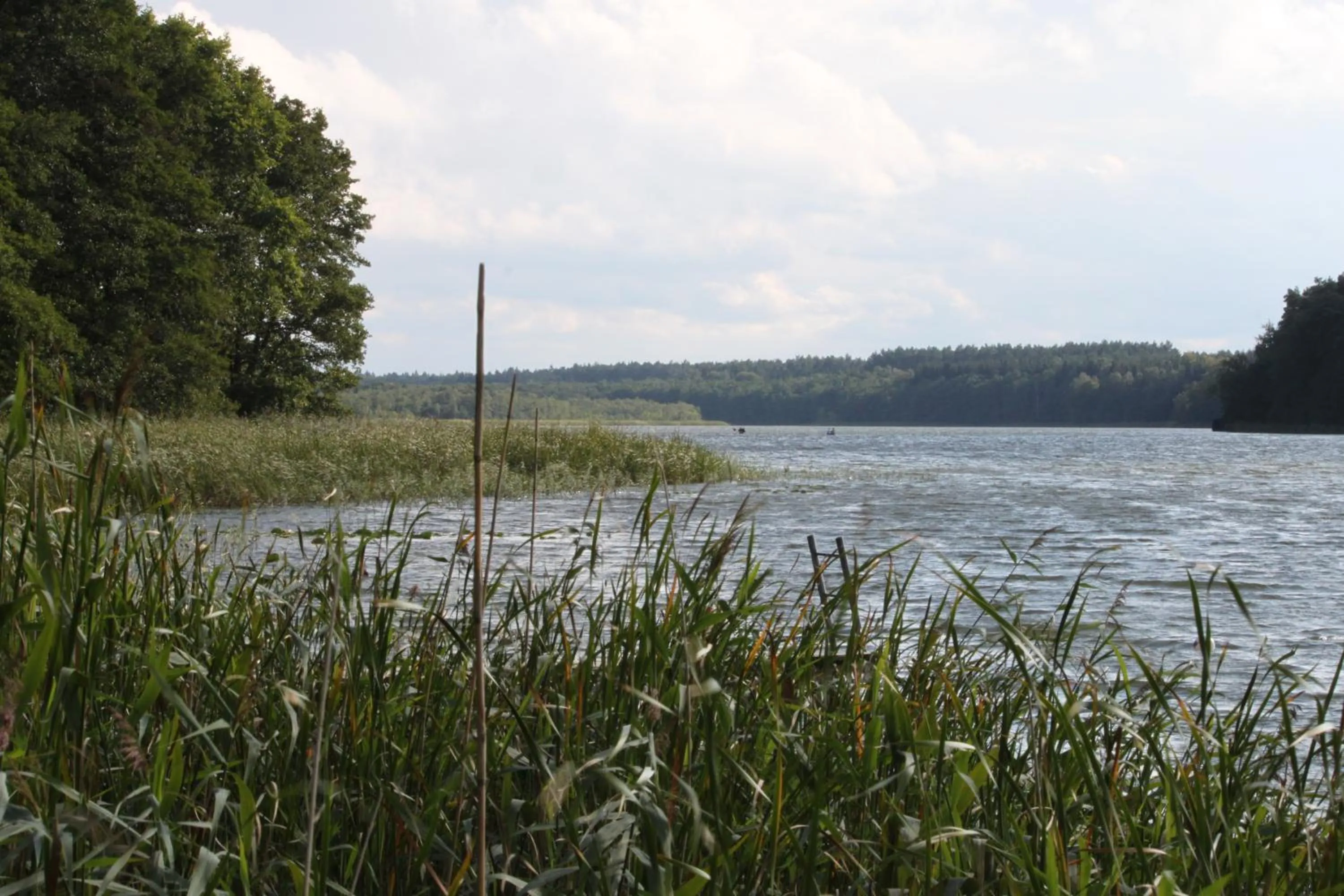 Natural landscape in Residenz am Ostufer