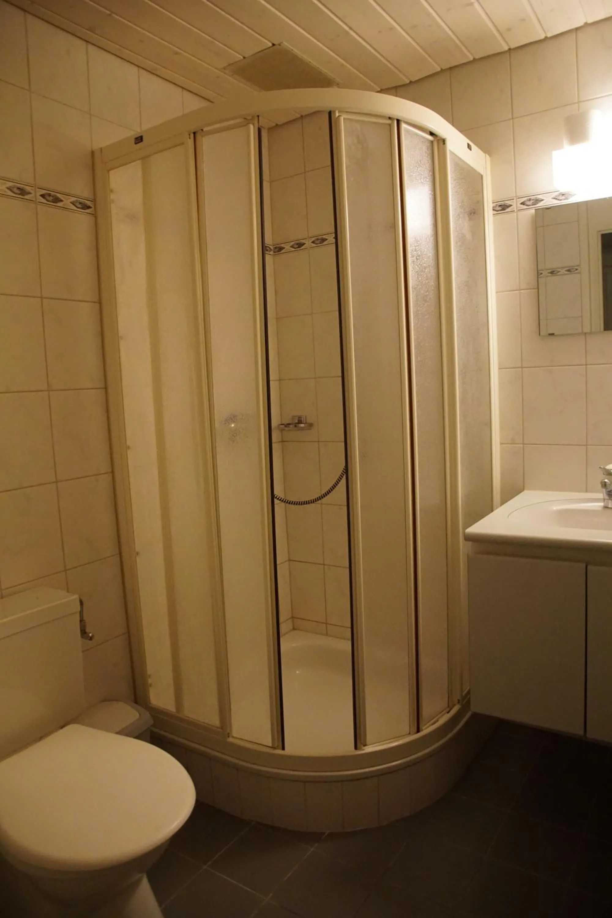 Single Room with Shared Shower and Toilet - single occupancy in Hotel Gotthard