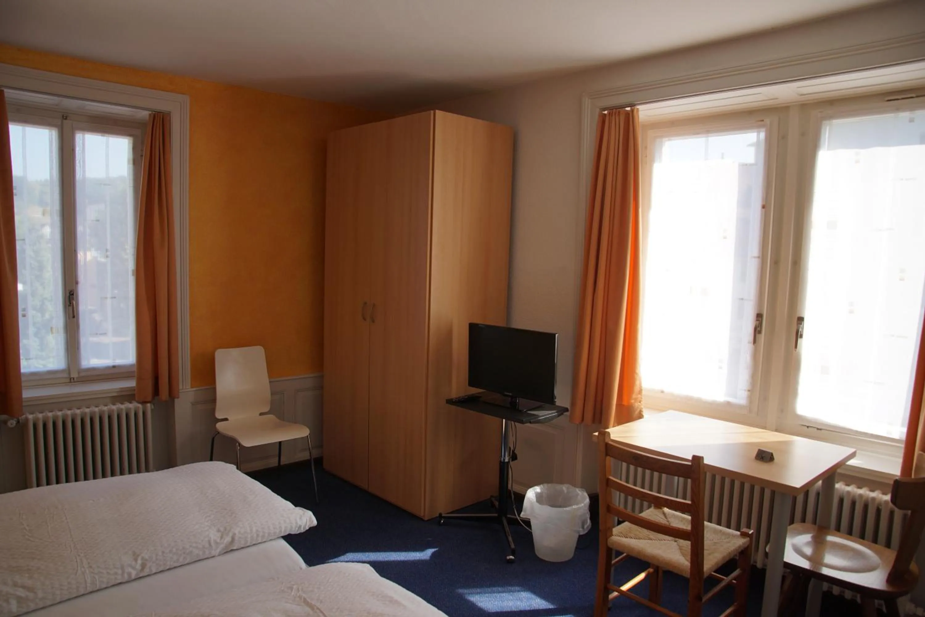 Double or Twin Room with Bathroom in Hotel Gotthard
