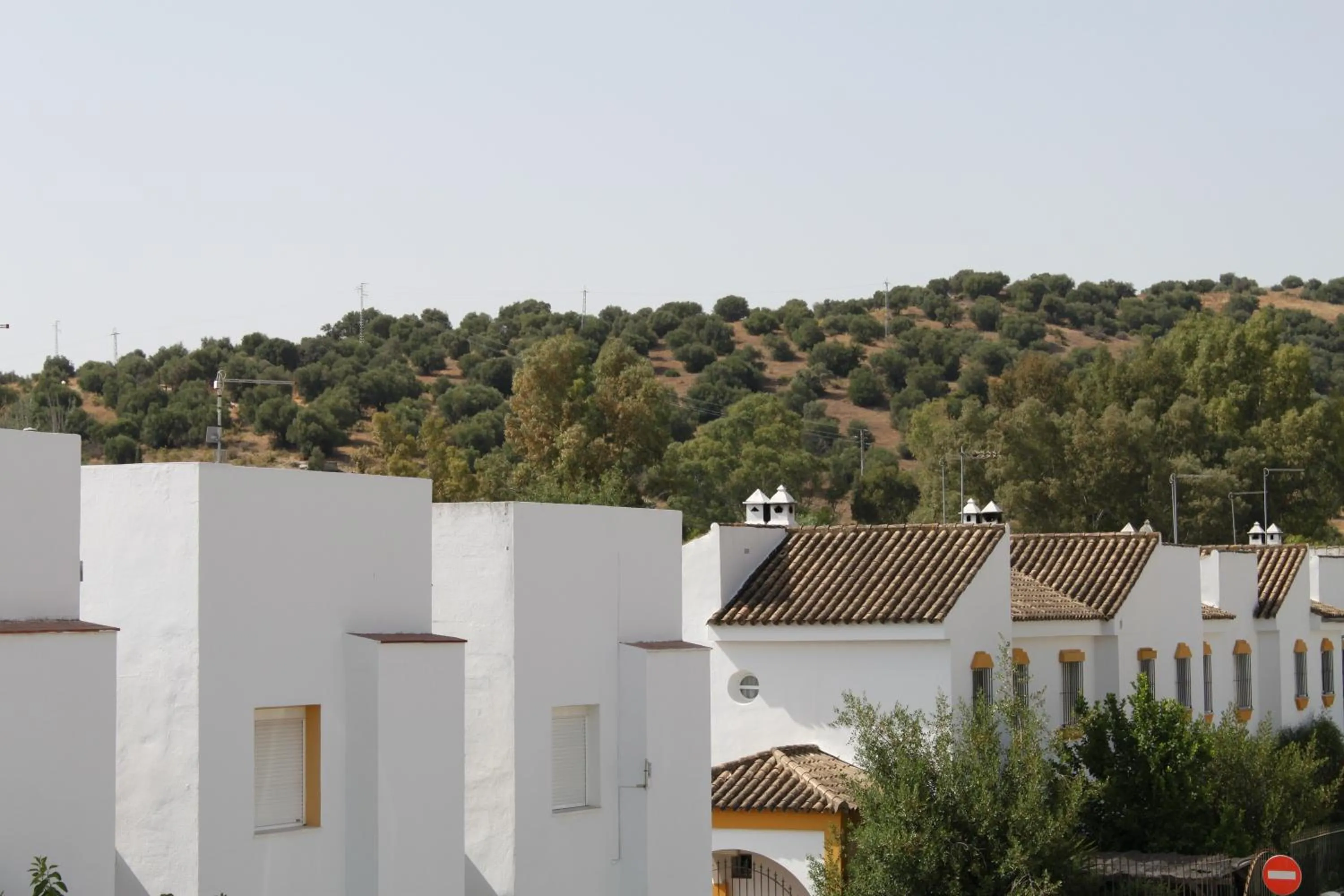 Property building in El Corral de Dolores