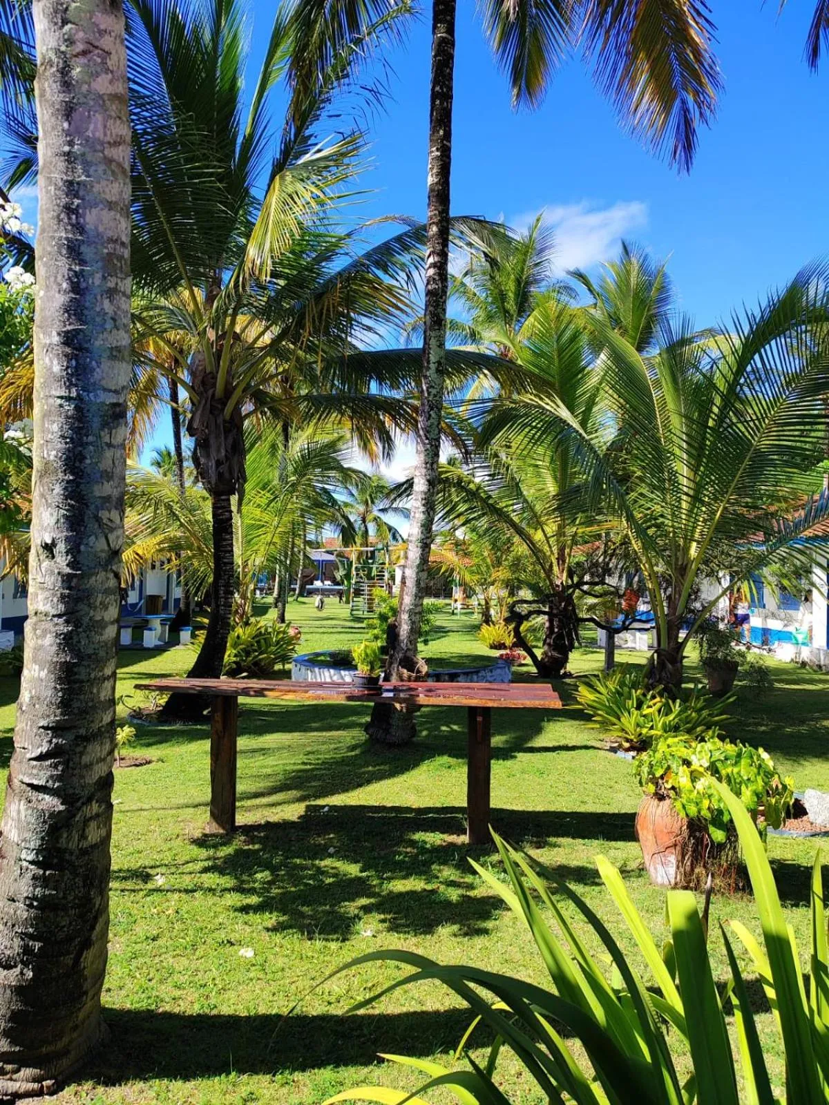 Garden in Morada dos Coqueiros Praia Hotel