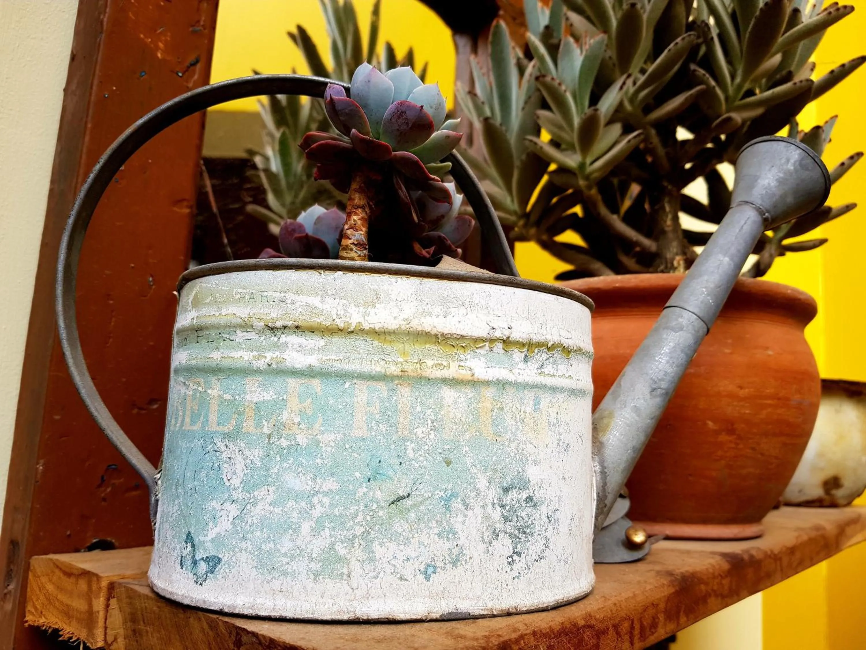 Decorative detail in Old Town Quito Suites, Heritage Boutique Hotel, Where Every Detail Tells a Story