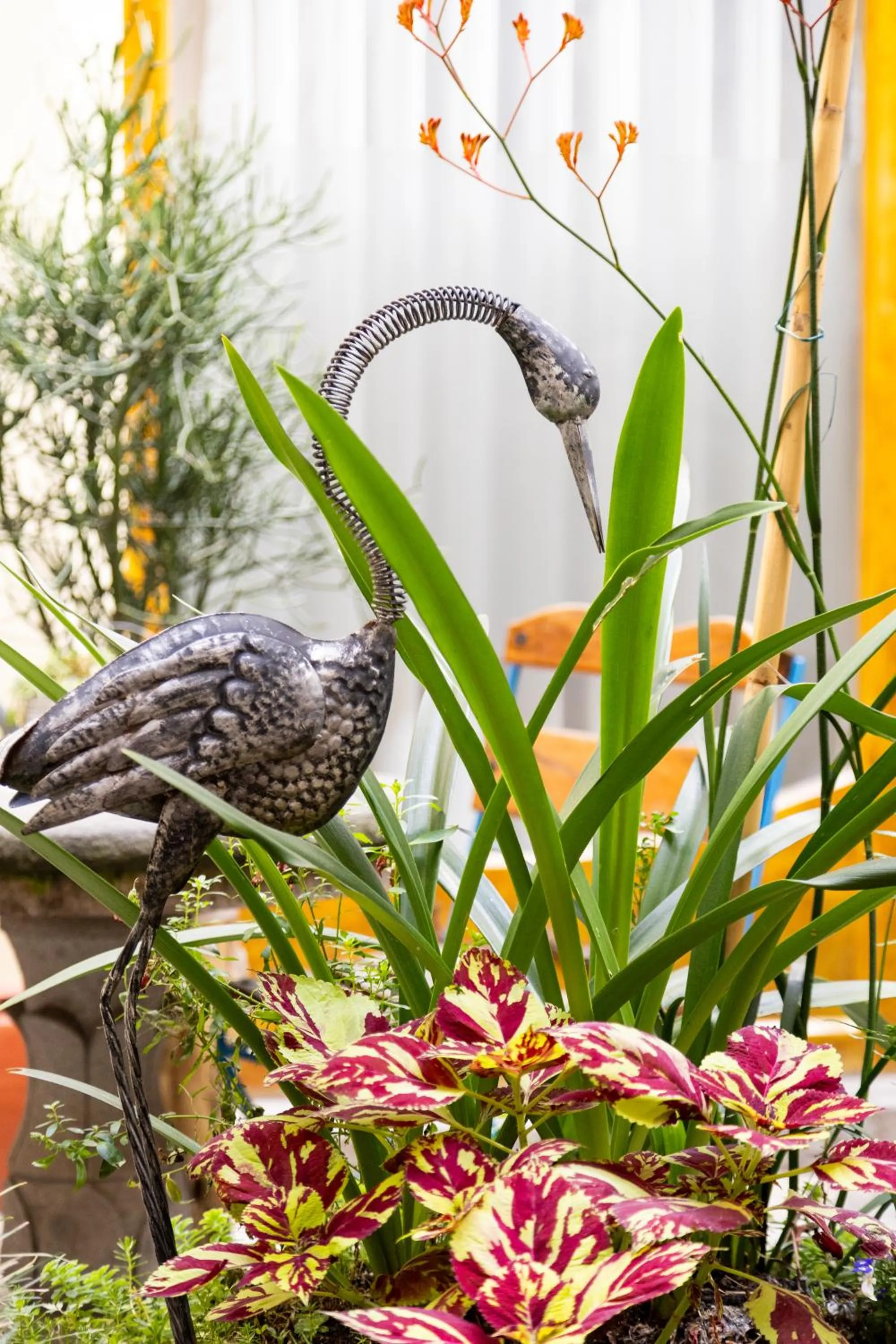 Garden in Old Town Quito Suites, Heritage Hotel, Historic center