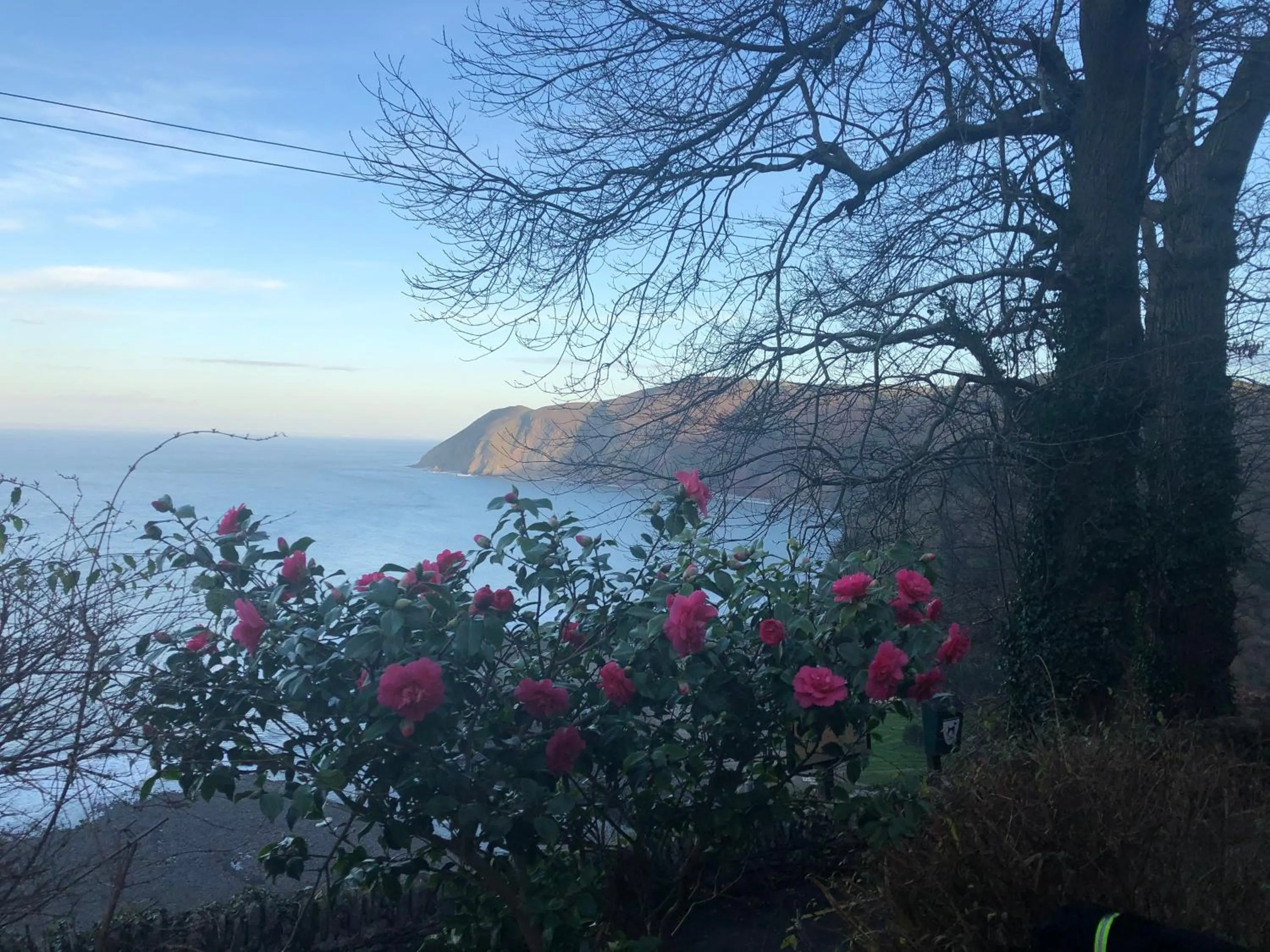 View (from property/room) in The North Cliff Hotel