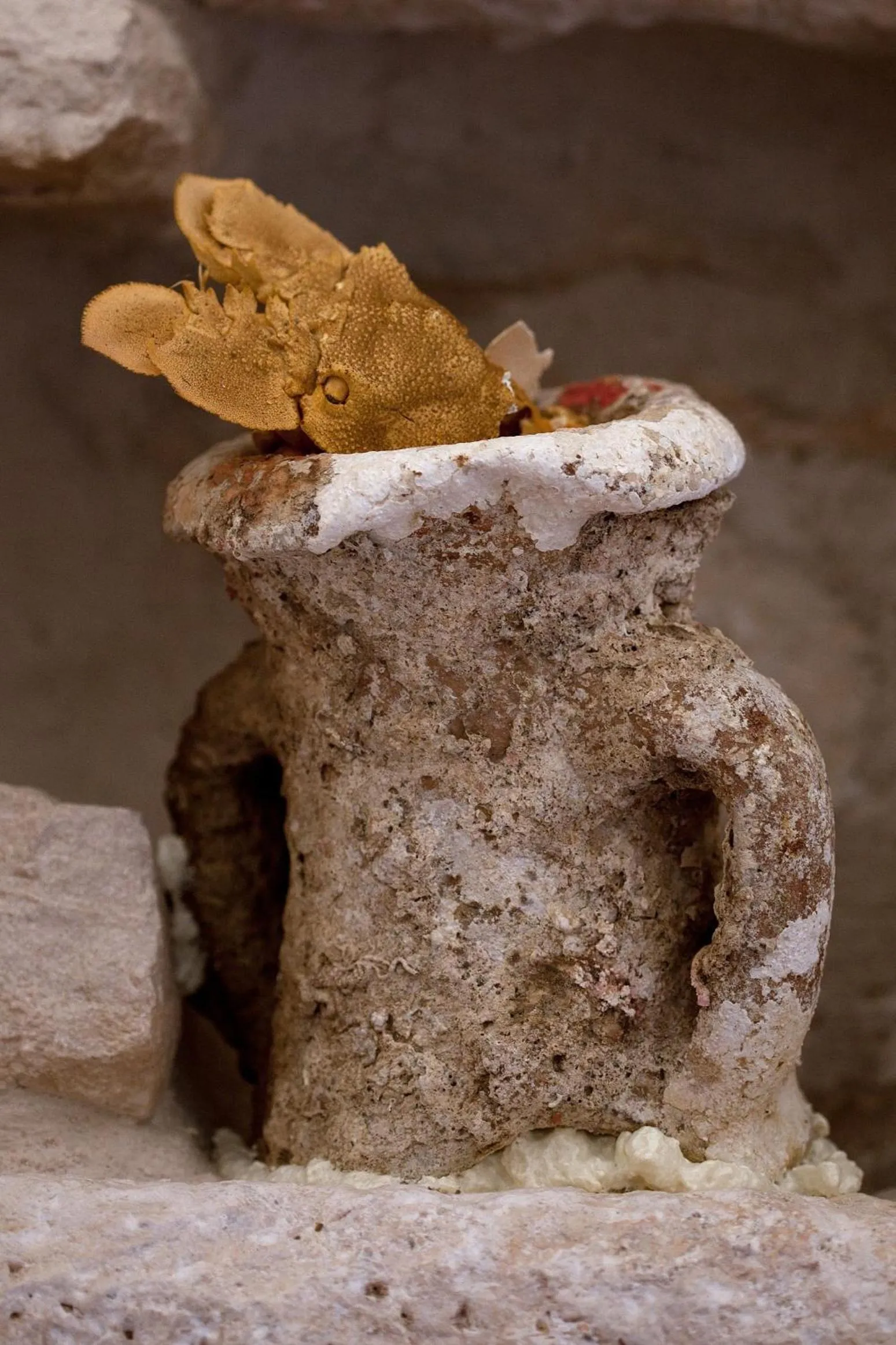 Decorative detail in Heritage Boutique Hotel Adriatic-Adults only