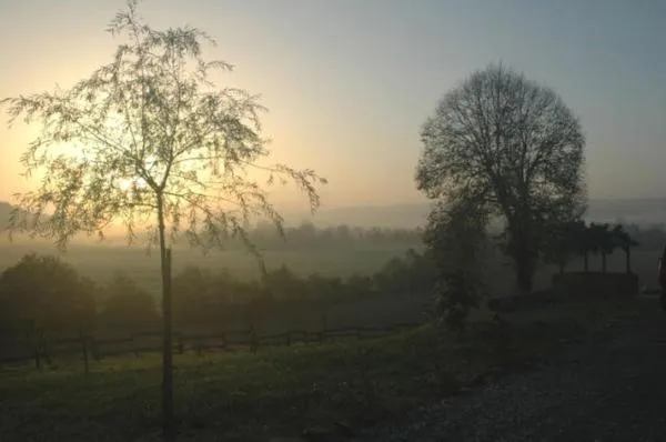 Garden view in Chambres d'Hôtes Gelous