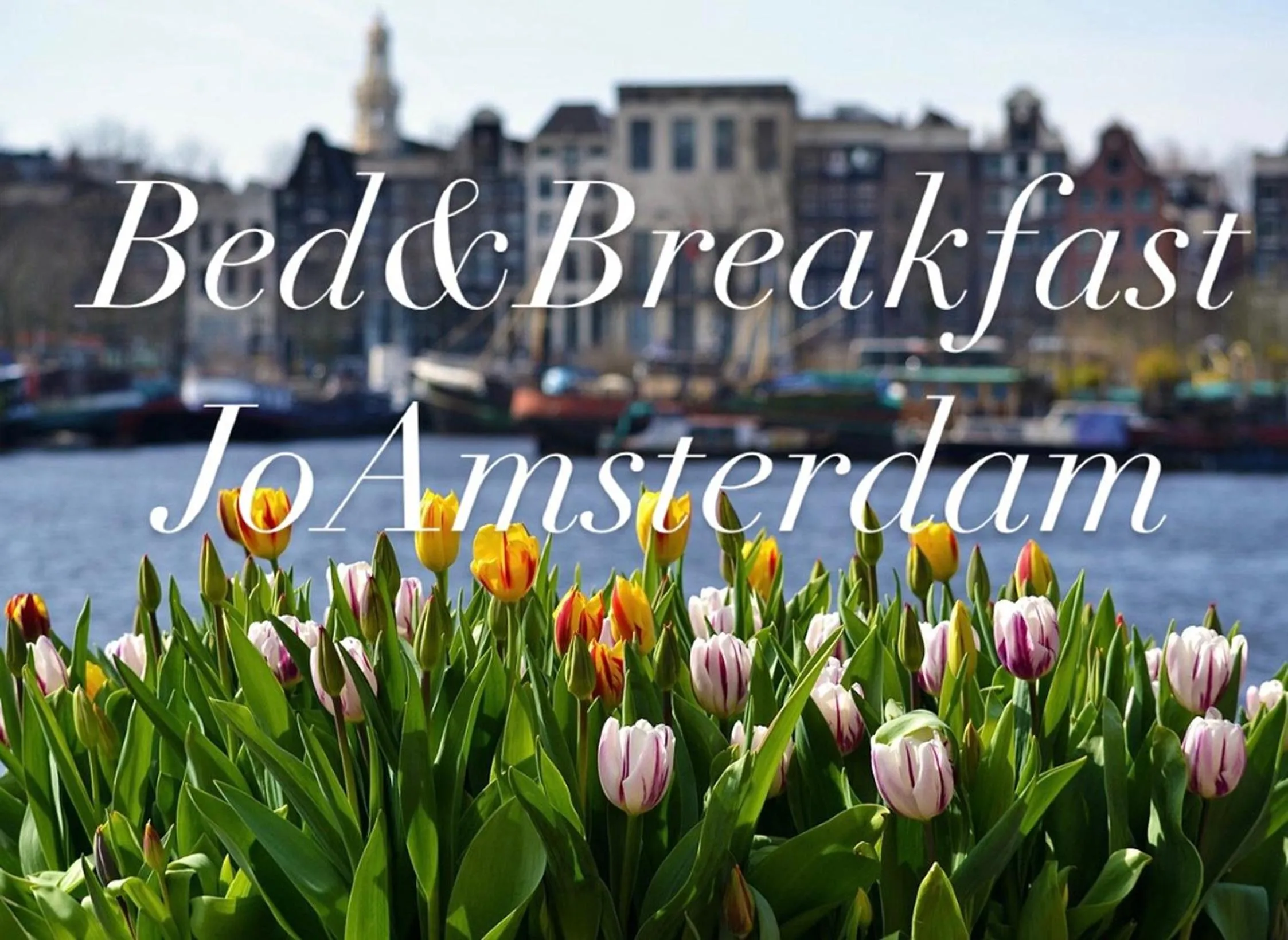 Aqua park in Bed & Breakfast Jo Amsterdam