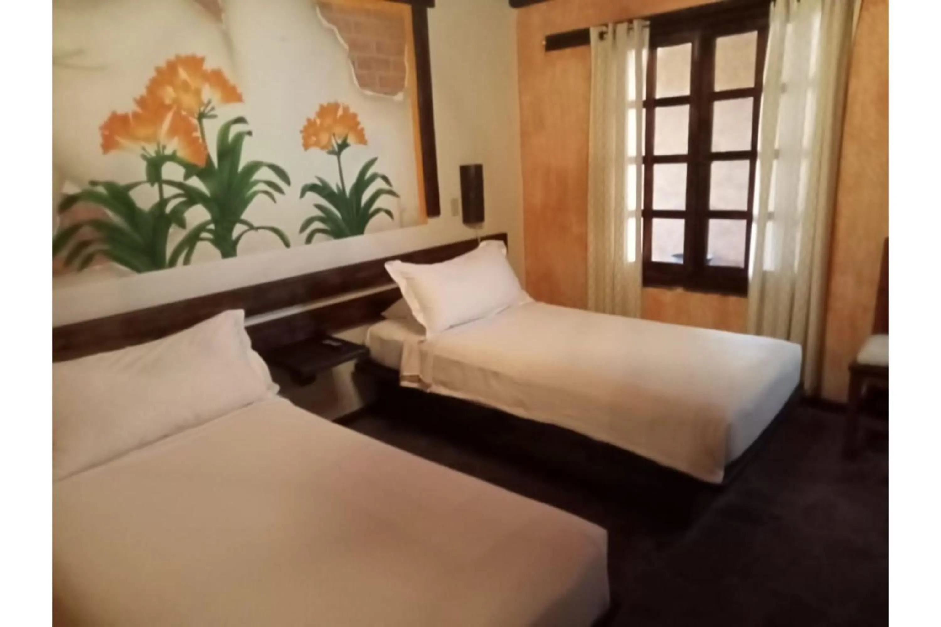 Bedroom in Hotel Boutique Posada De Las Flores Loreto