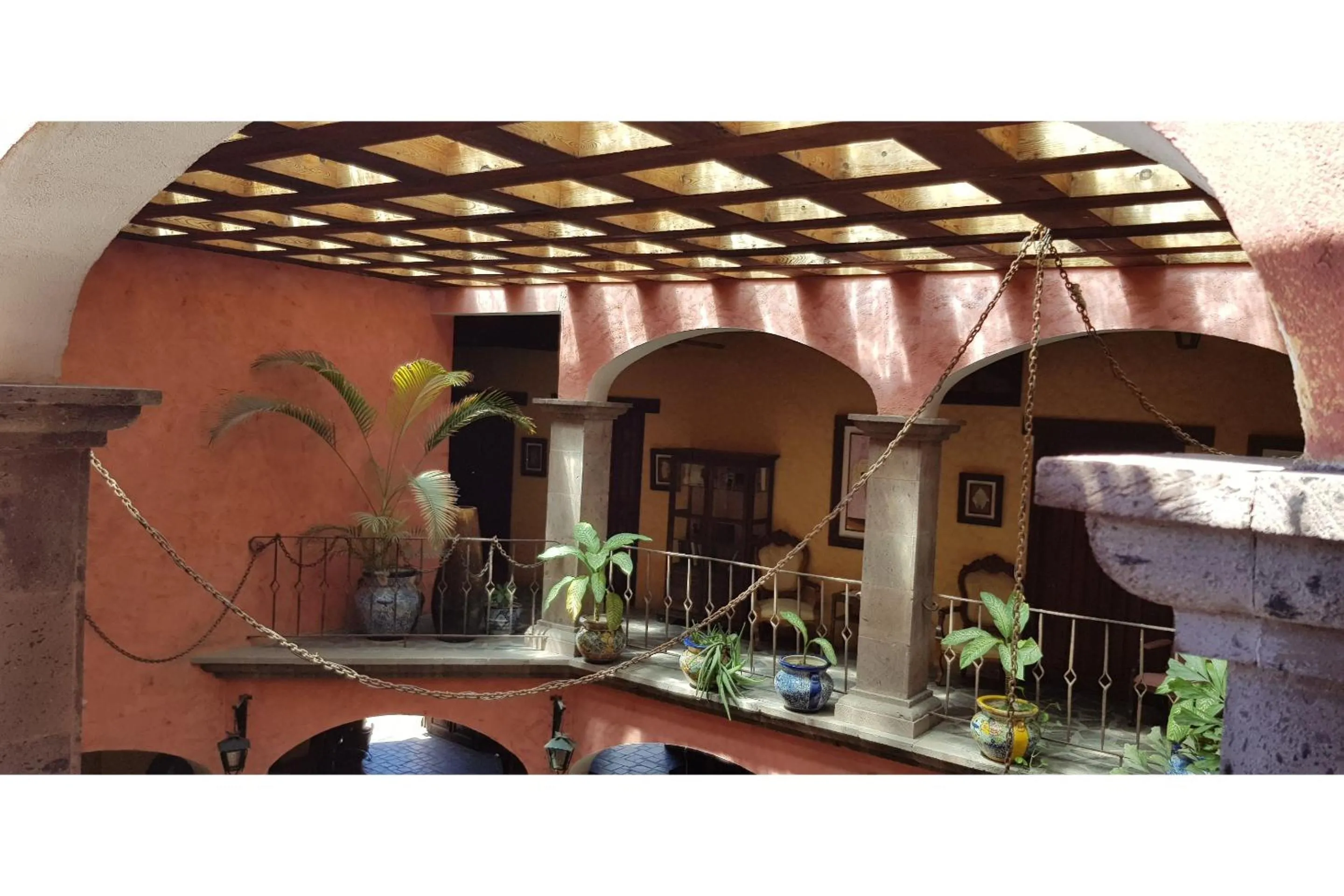 Area and facilities in Hotel Boutique Posada De Las Flores Loreto