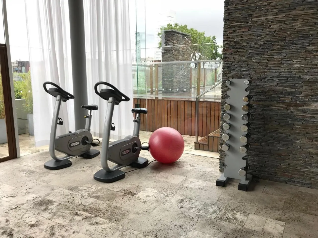 Fitness centre/facilities in Ayres Apartments Palermo