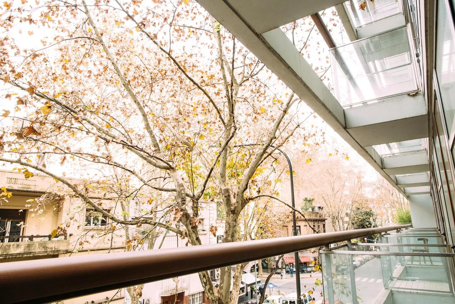 Balcony/Terrace in Ayres Apartments Palermo