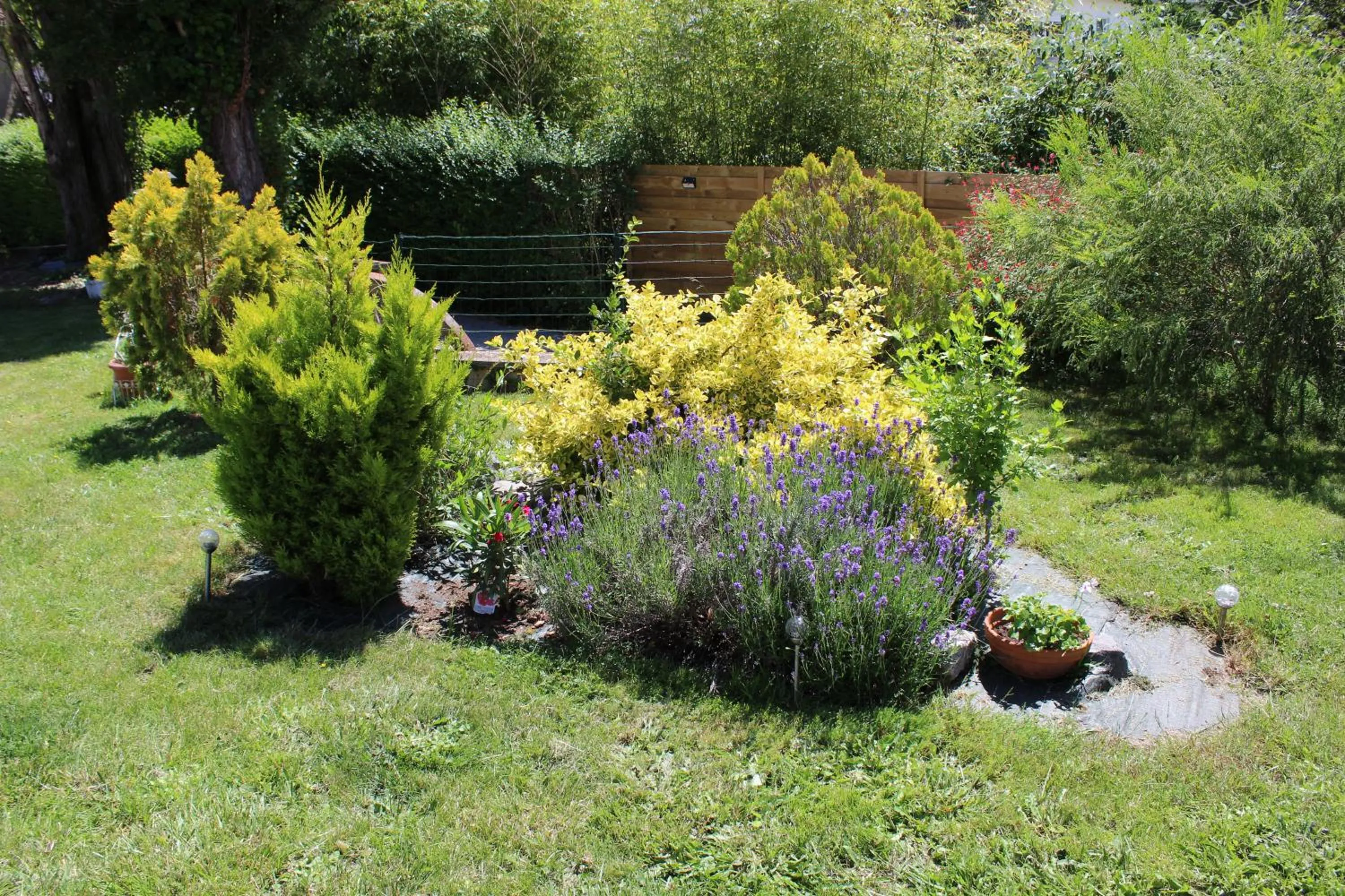 Garden in Hotel des Ducs