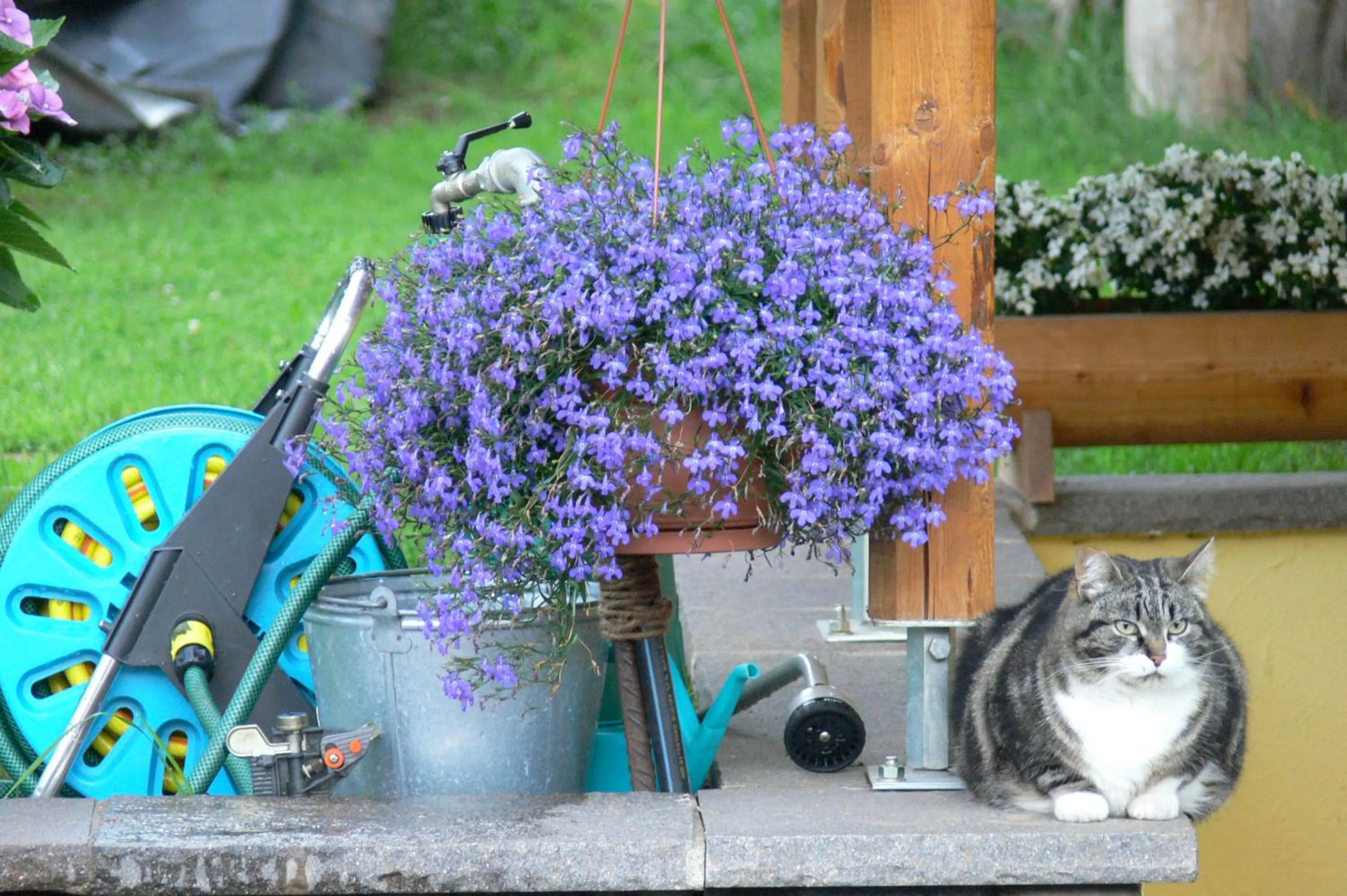 Decorative detail in Maso Vaia