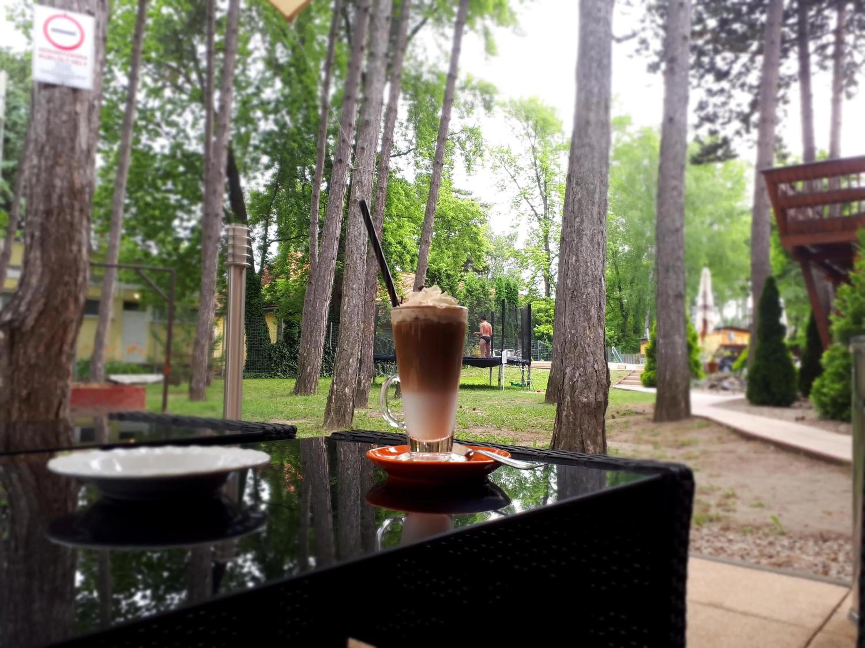 Garden in Hotel Korona