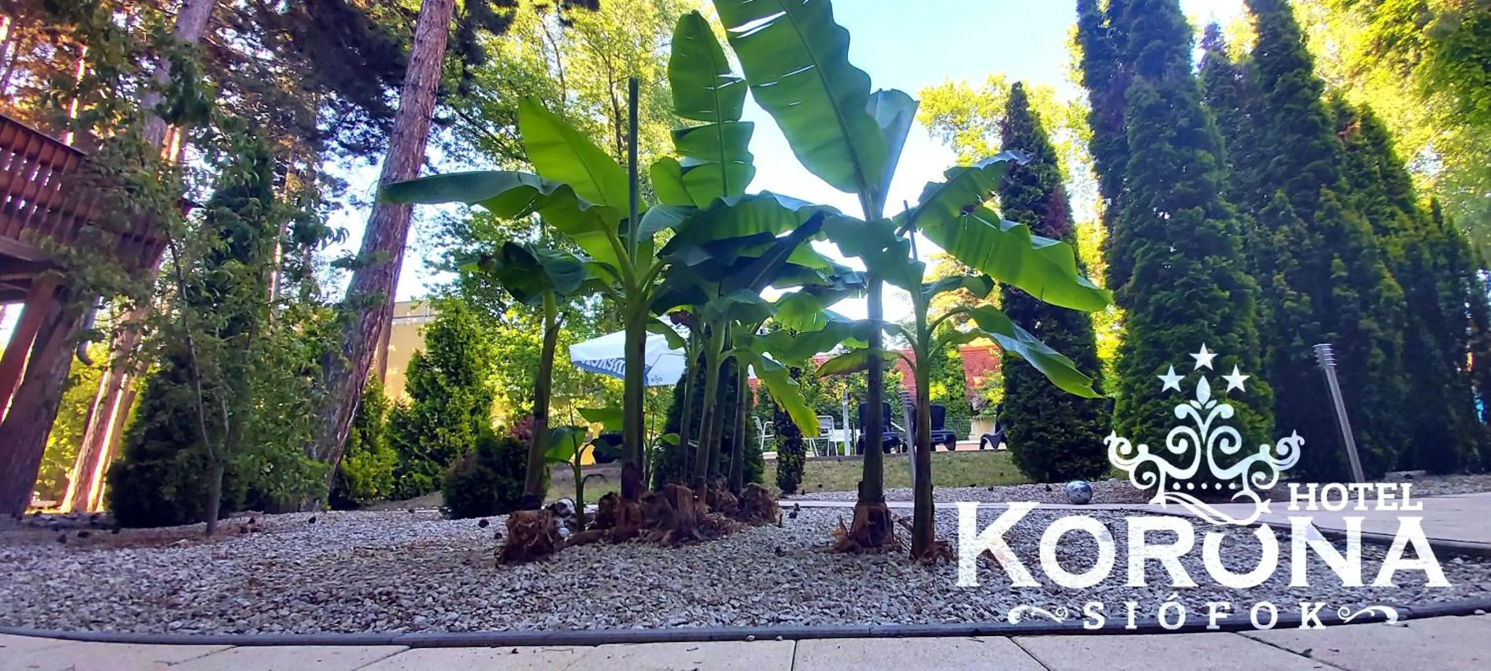 Garden in Hotel Korona