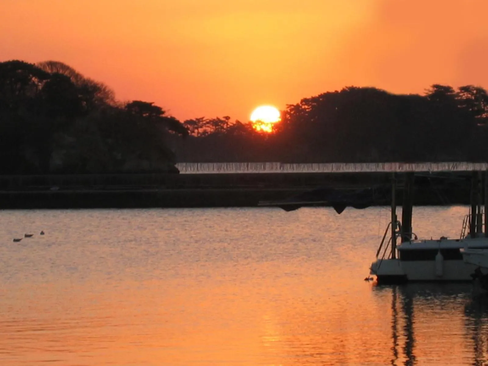View (from property/room) in Hotel Ubudo