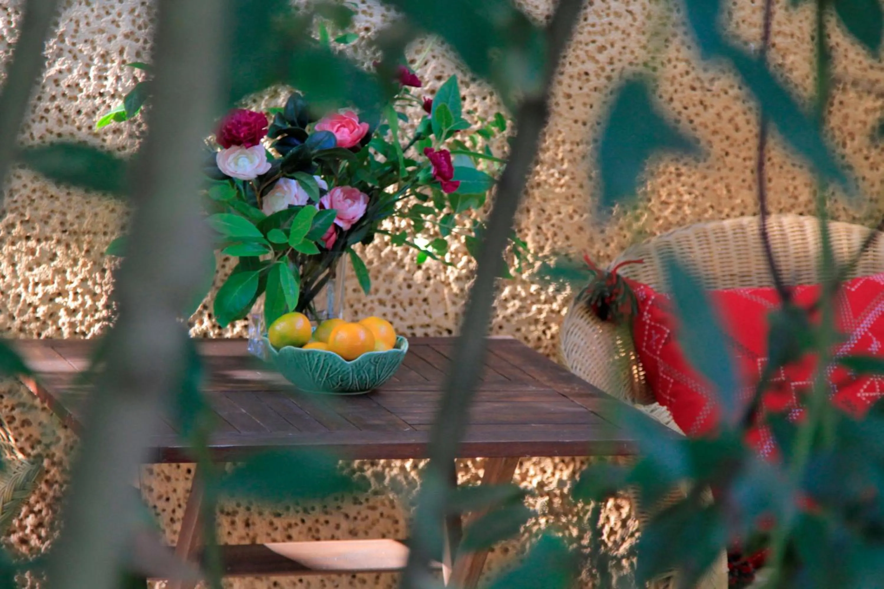 Garden in Casa de Mogofores