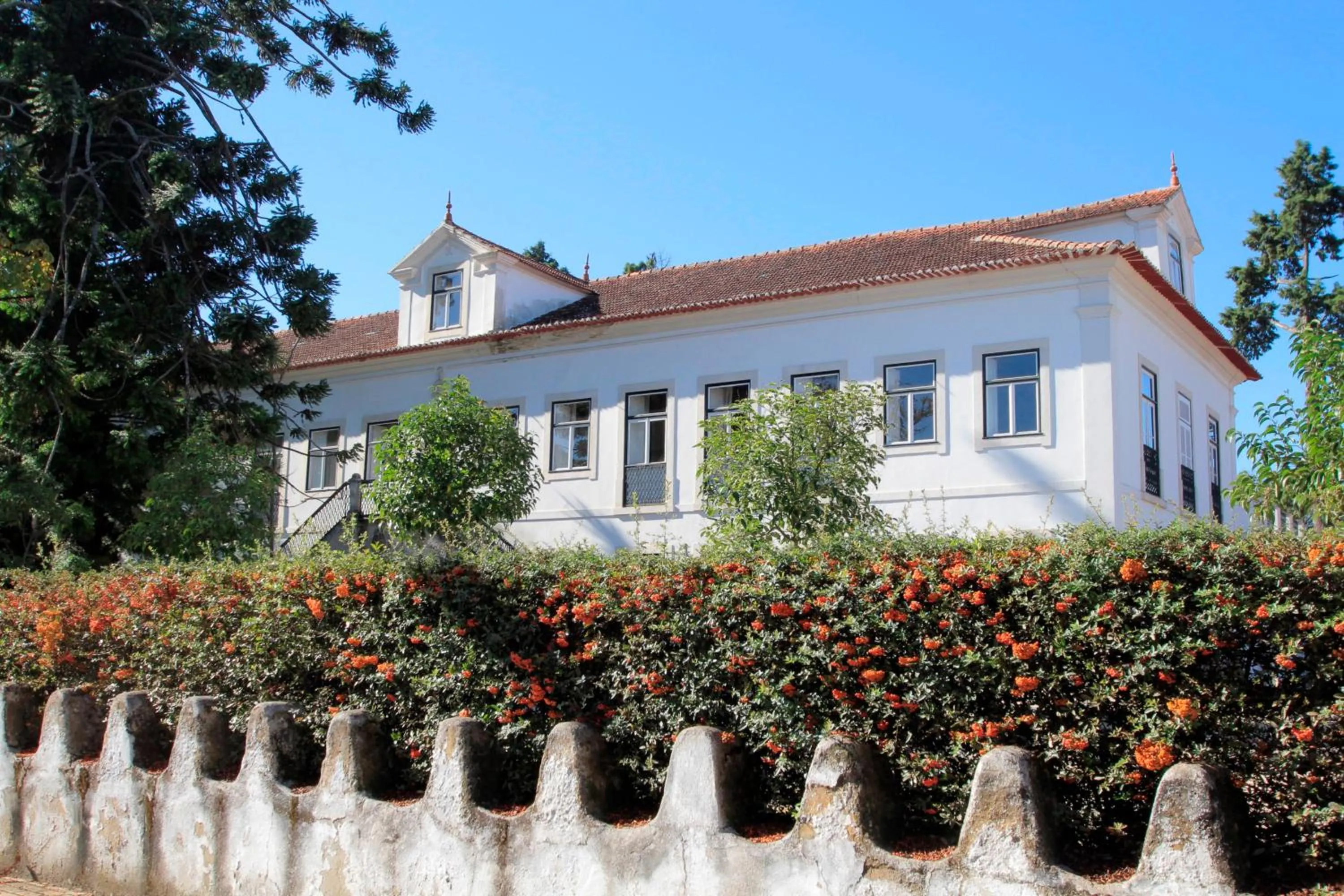 Facade/entrance in Casa de Mogofores