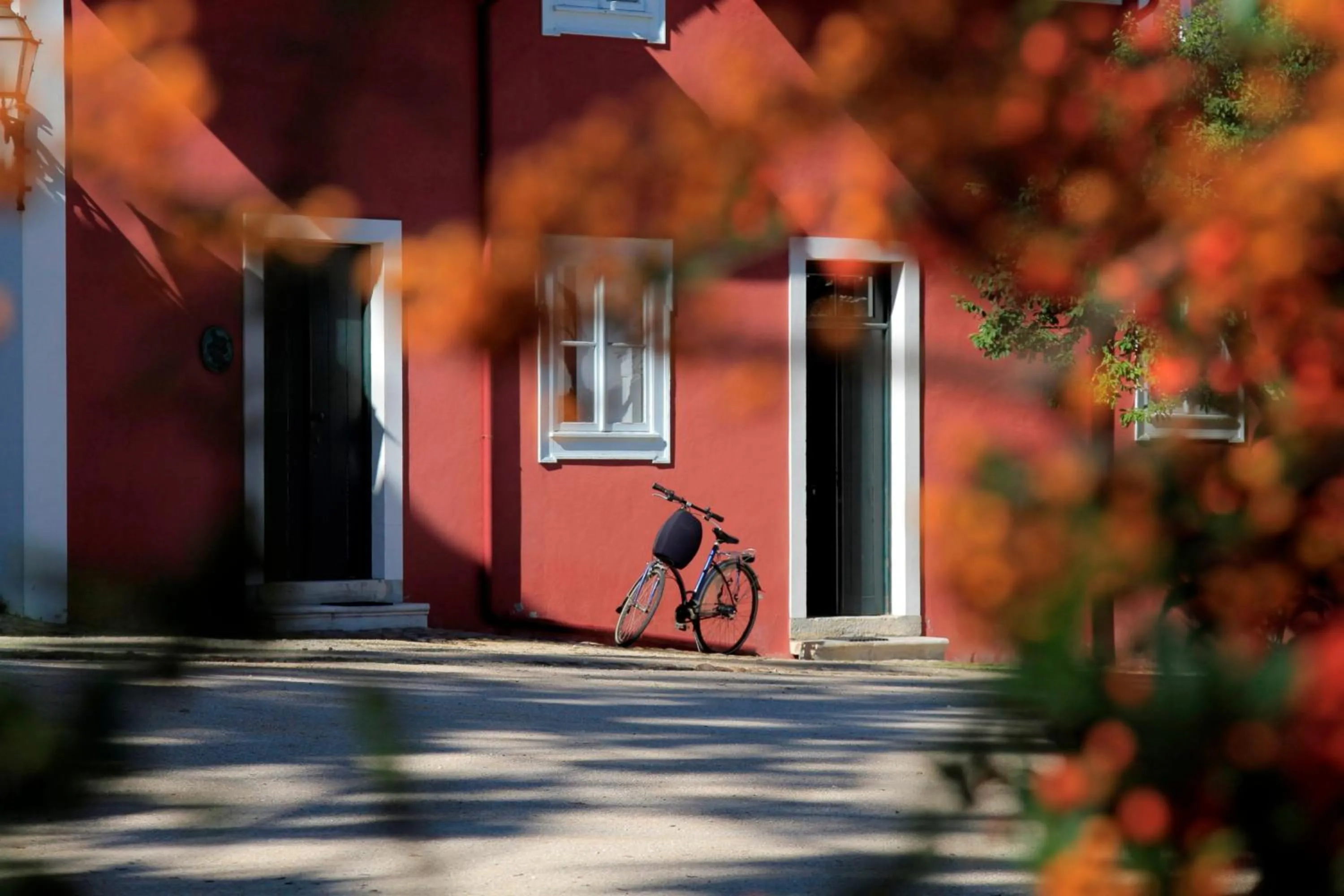 Garden in Casa de Mogofores