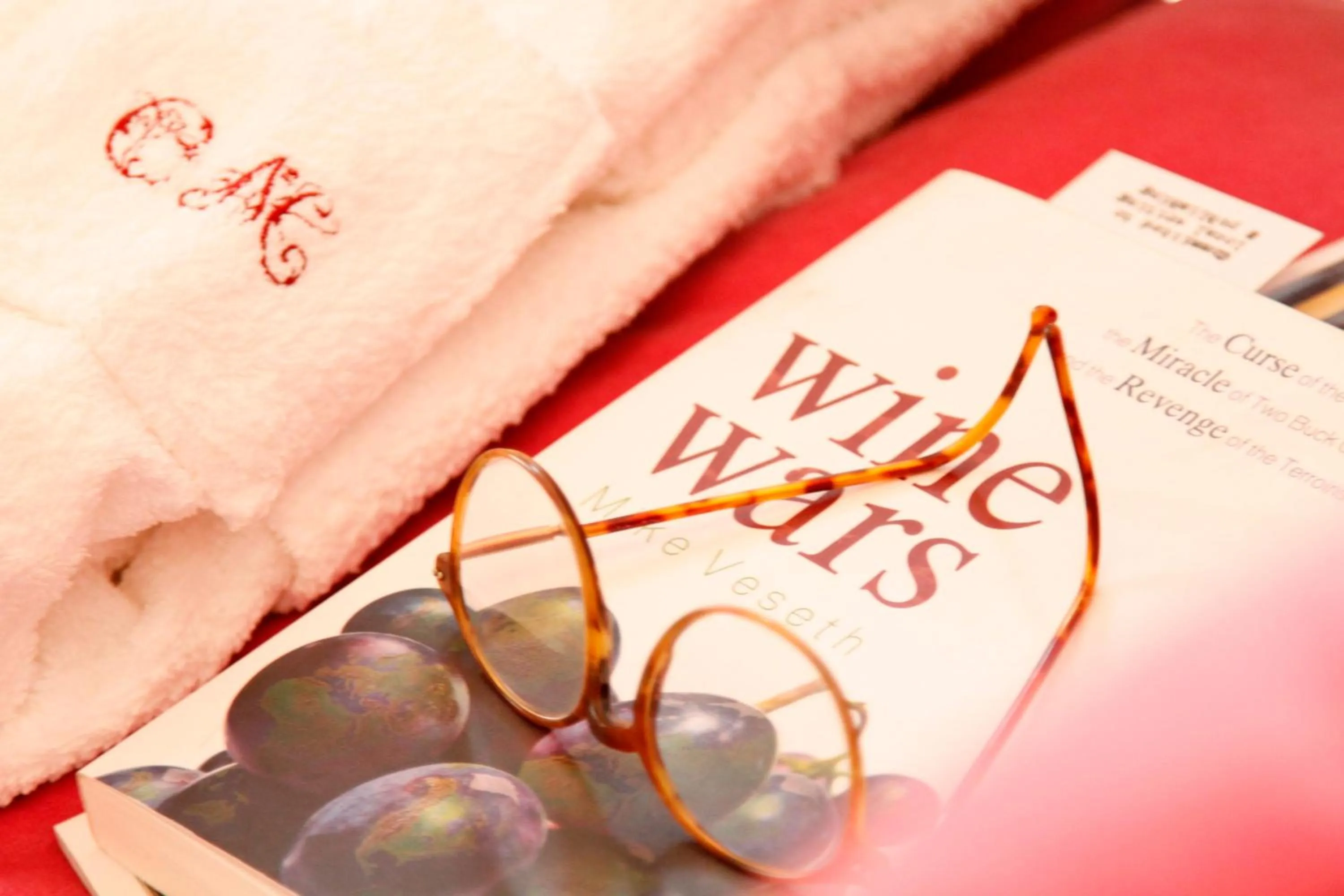 Decorative detail in Casa de Mogofores