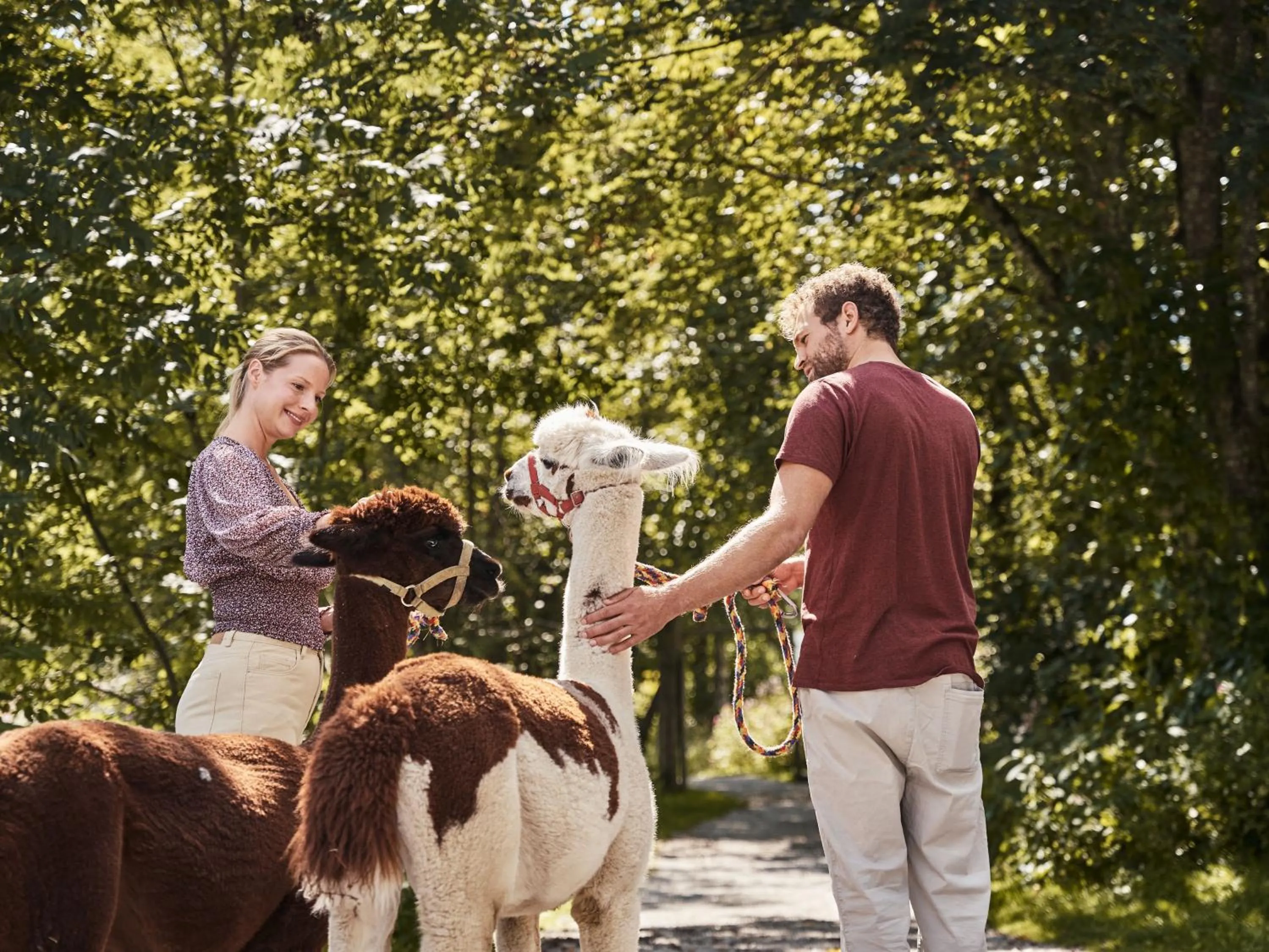 Activities in aja Bergresort Werfenweng