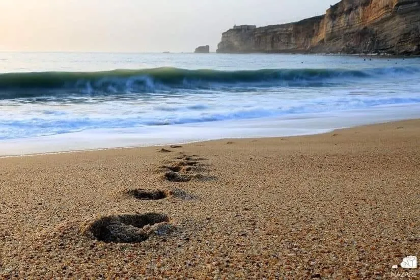 Natural landscape in Hotel Mare