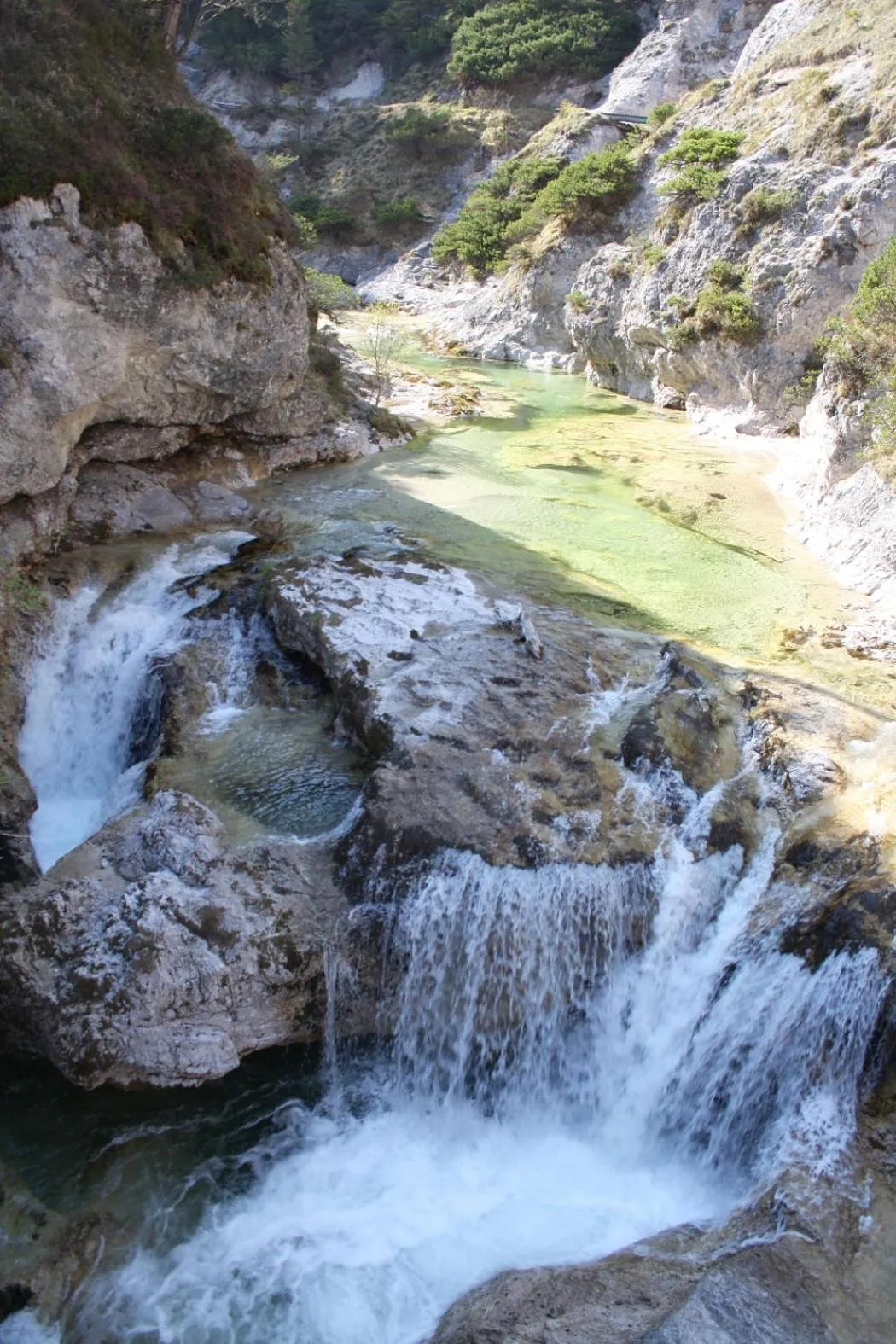 Natural landscape in Gasthof Erlauftalerhof