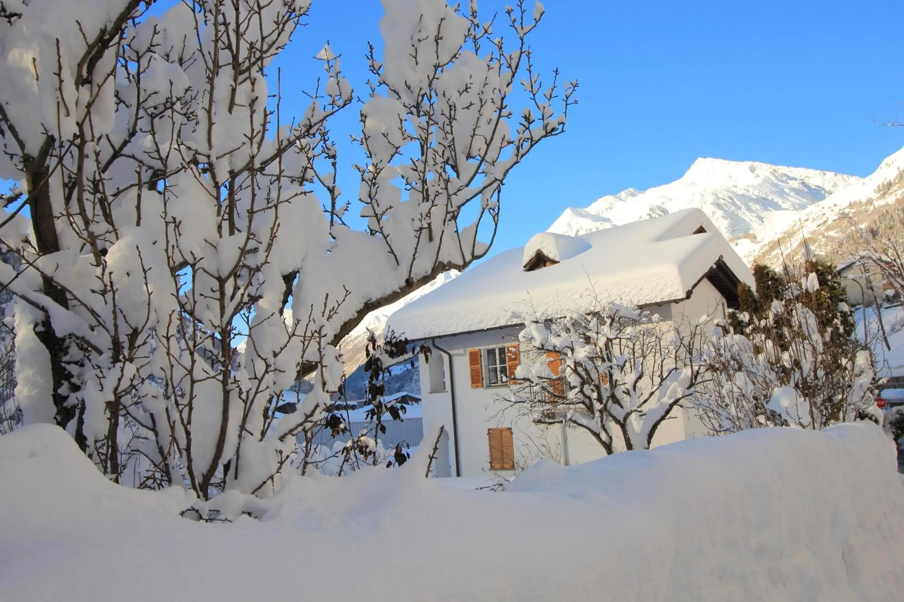 Chalet Cuore delle Alpi Chalet Cuore delle Alpi