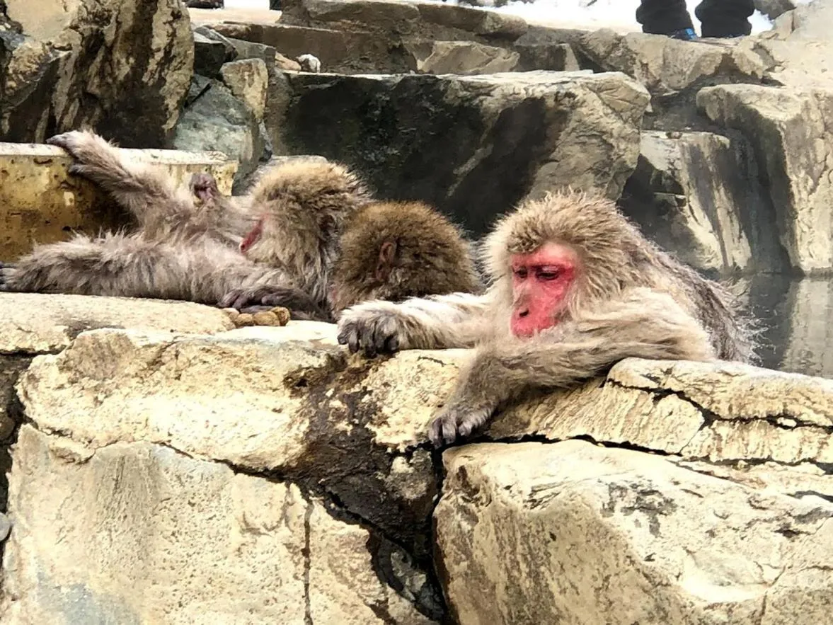 Nearby landmark in Guest House Hostel yukuru