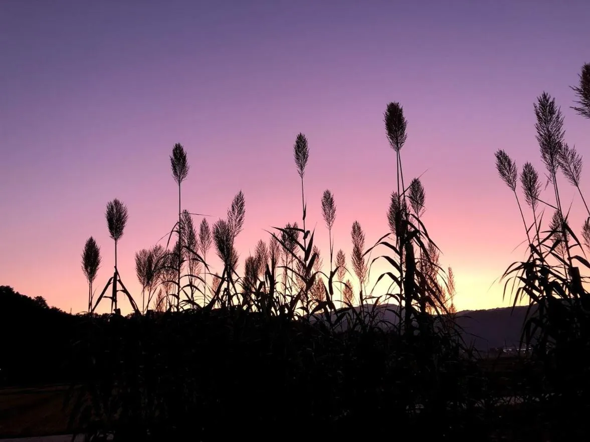 Off site in Guest House Hostel yukuru