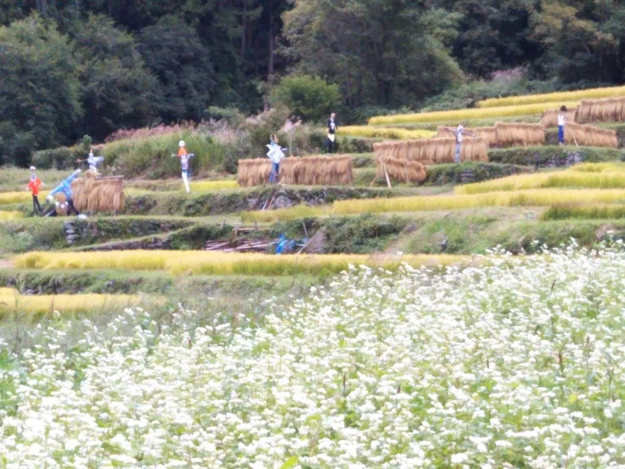Natural landscape in Guest House Hostel yukuru