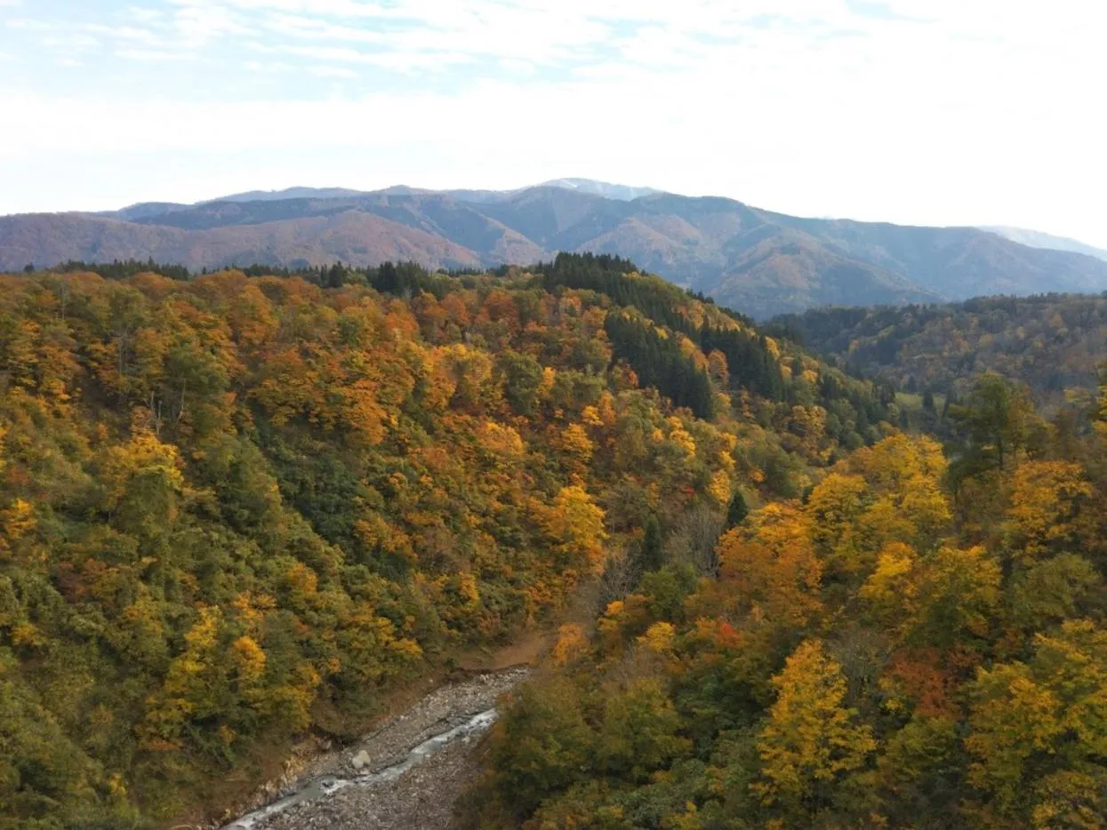 Day in Guest House Hostel yukuru