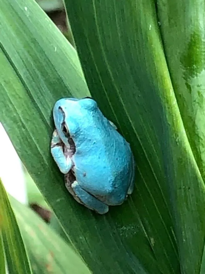 Day in Guest House Hostel yukuru