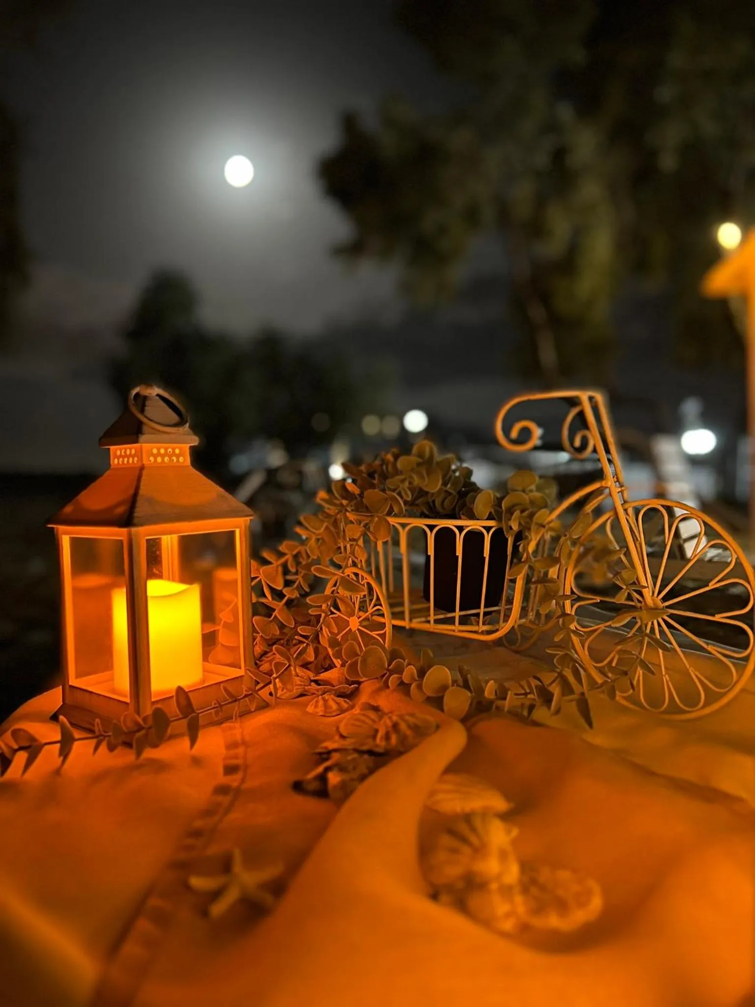 Night in Hotel Manor