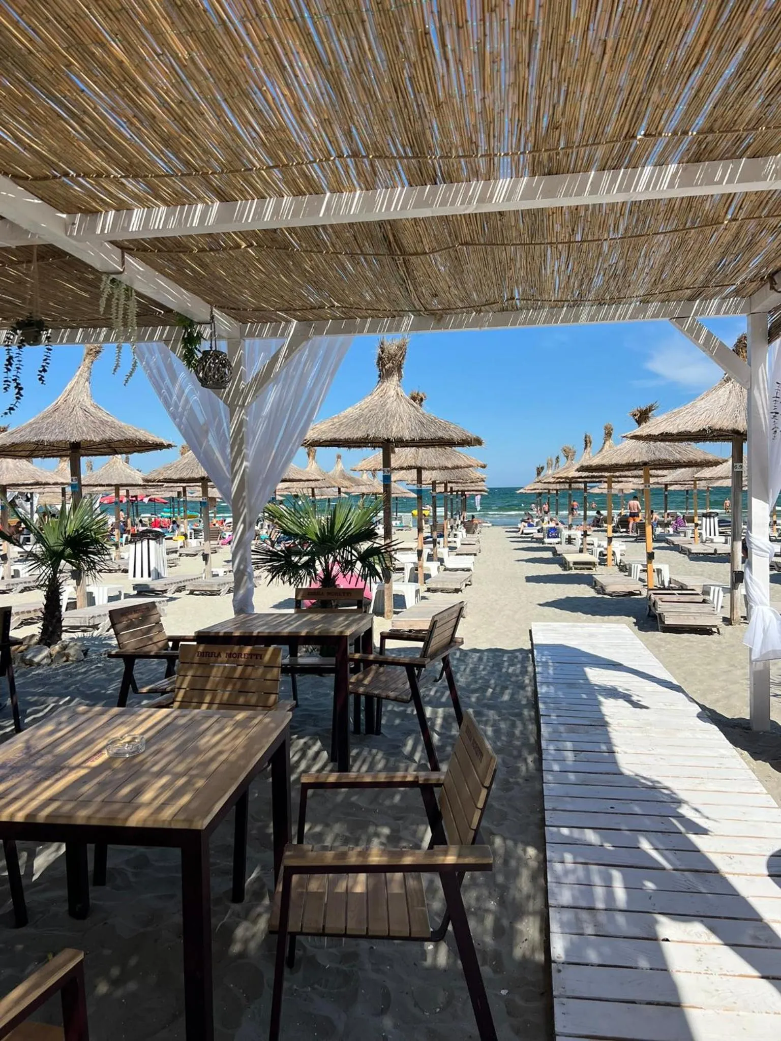 Beach in Hotel Manor