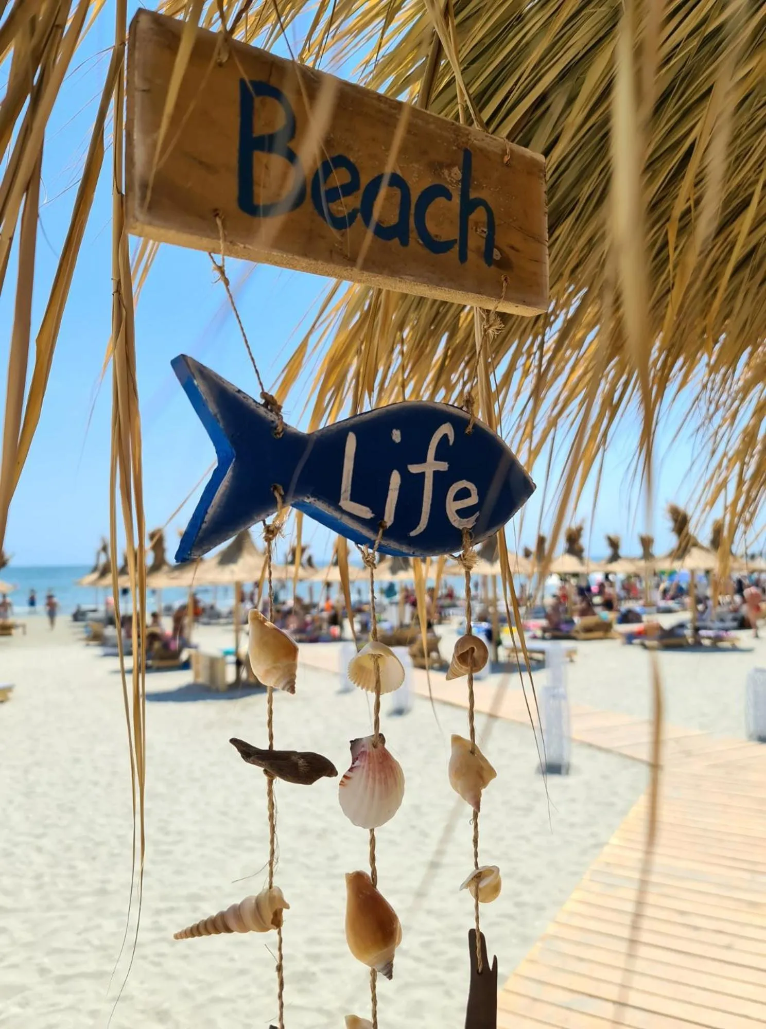 Beach in Hotel Manor