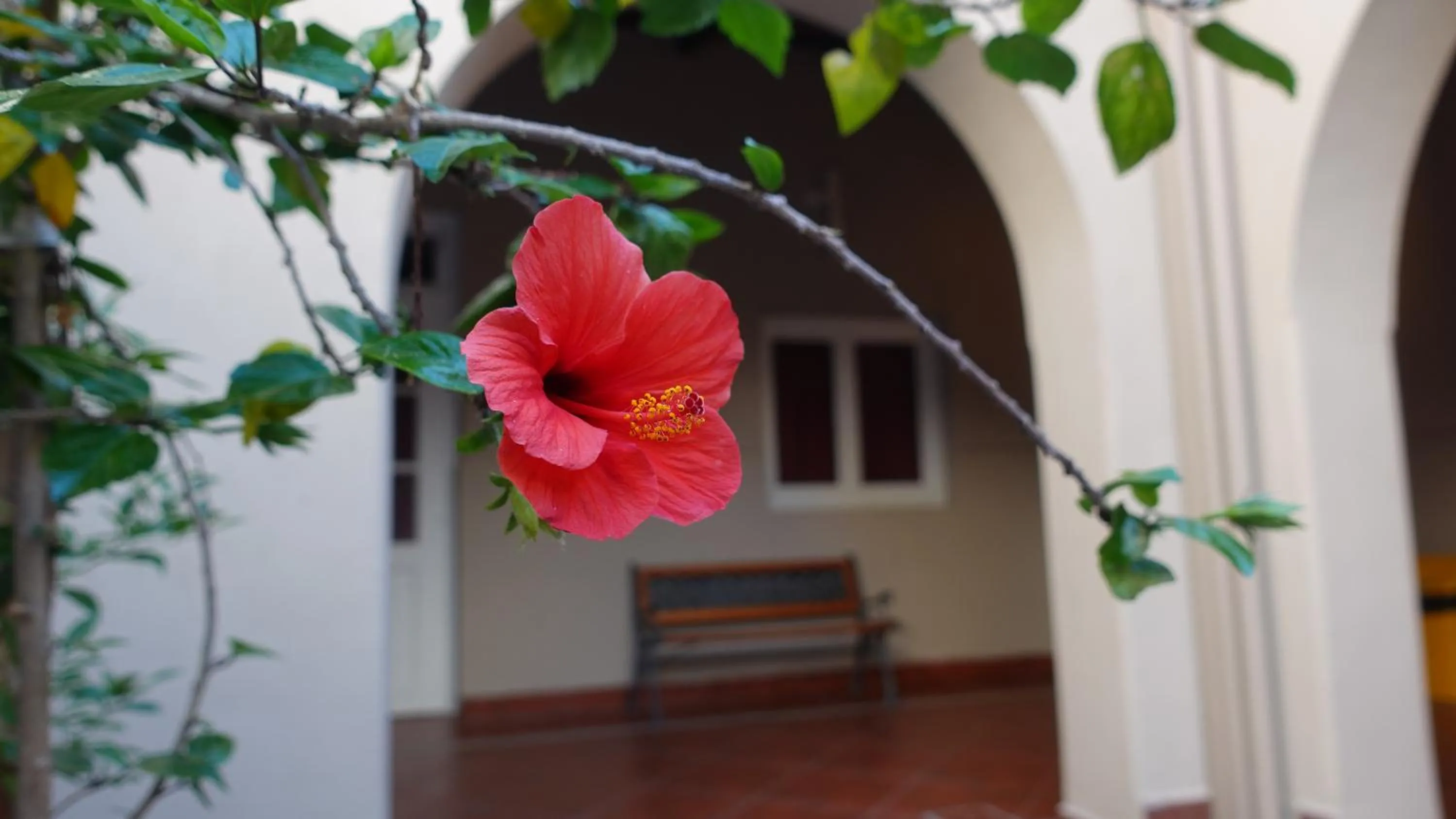 Property building in Hotel de la Linda