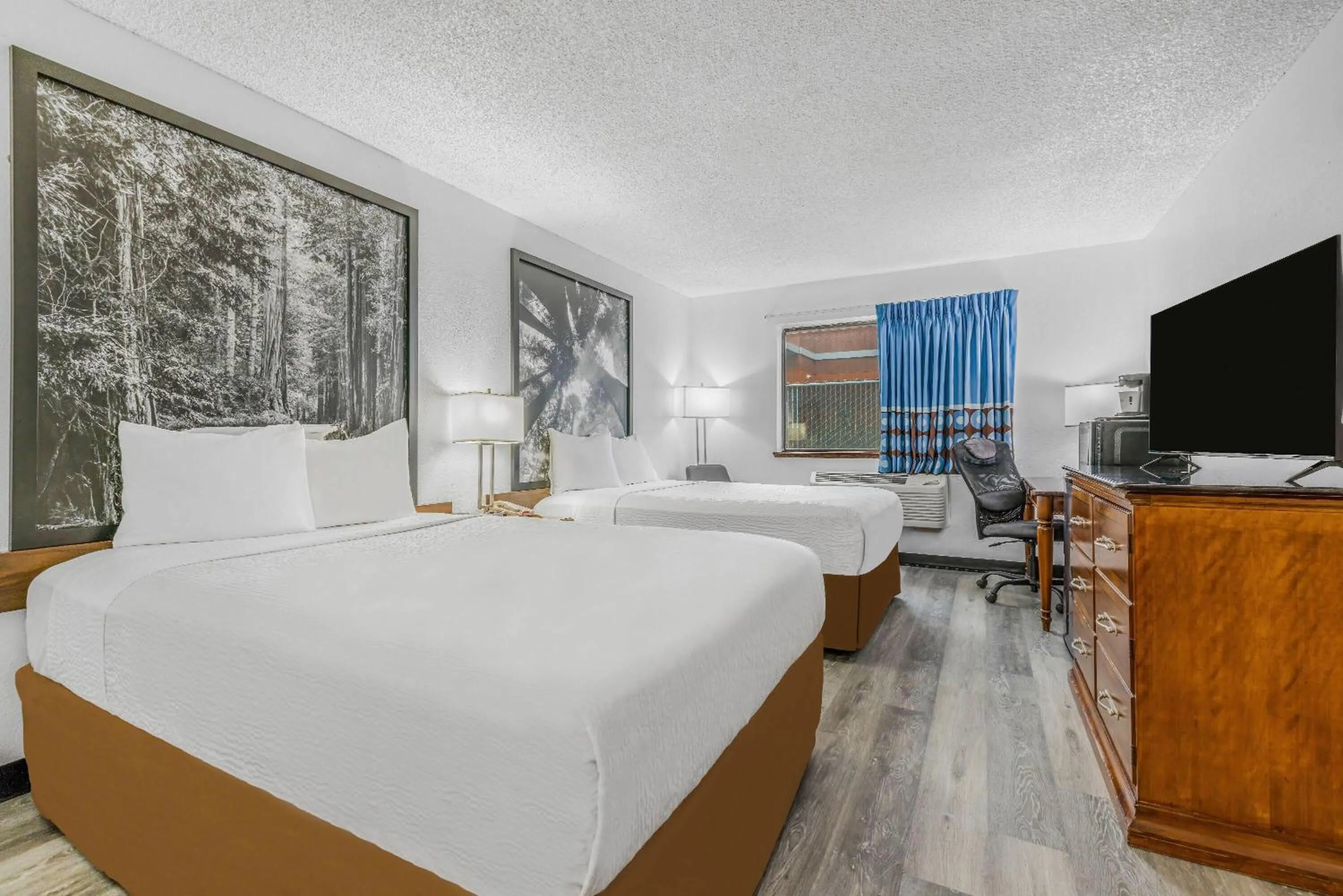 Bed in Super 8 by Wyndham Arcata