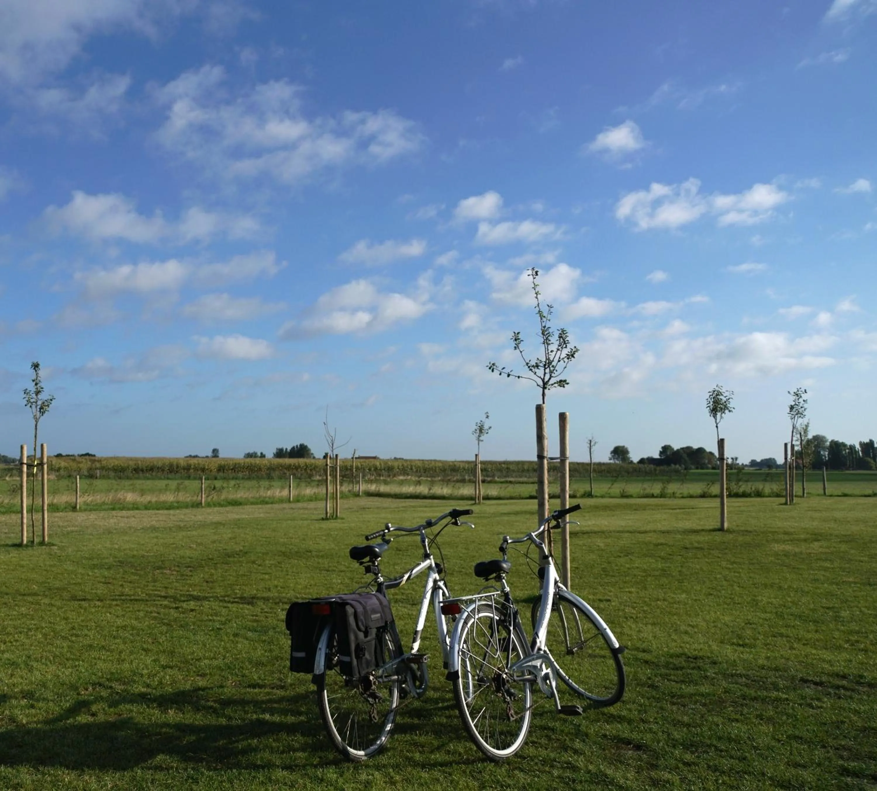 Fitness centre/facilities in B&B Ten Doele