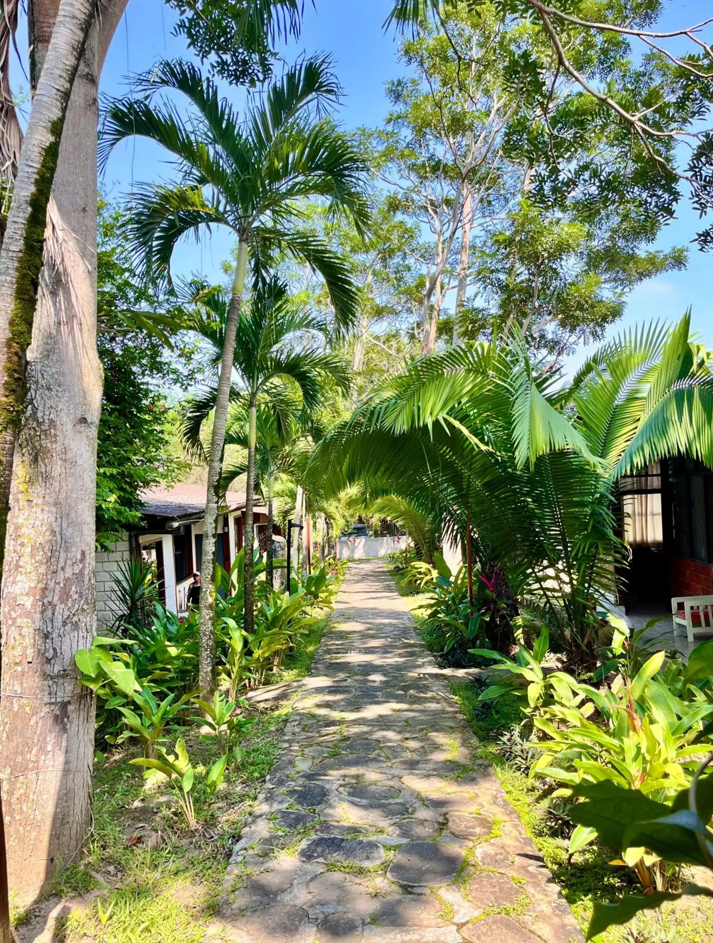Superior Family Room in CasaBosque Superior Family Room in CasaBosque