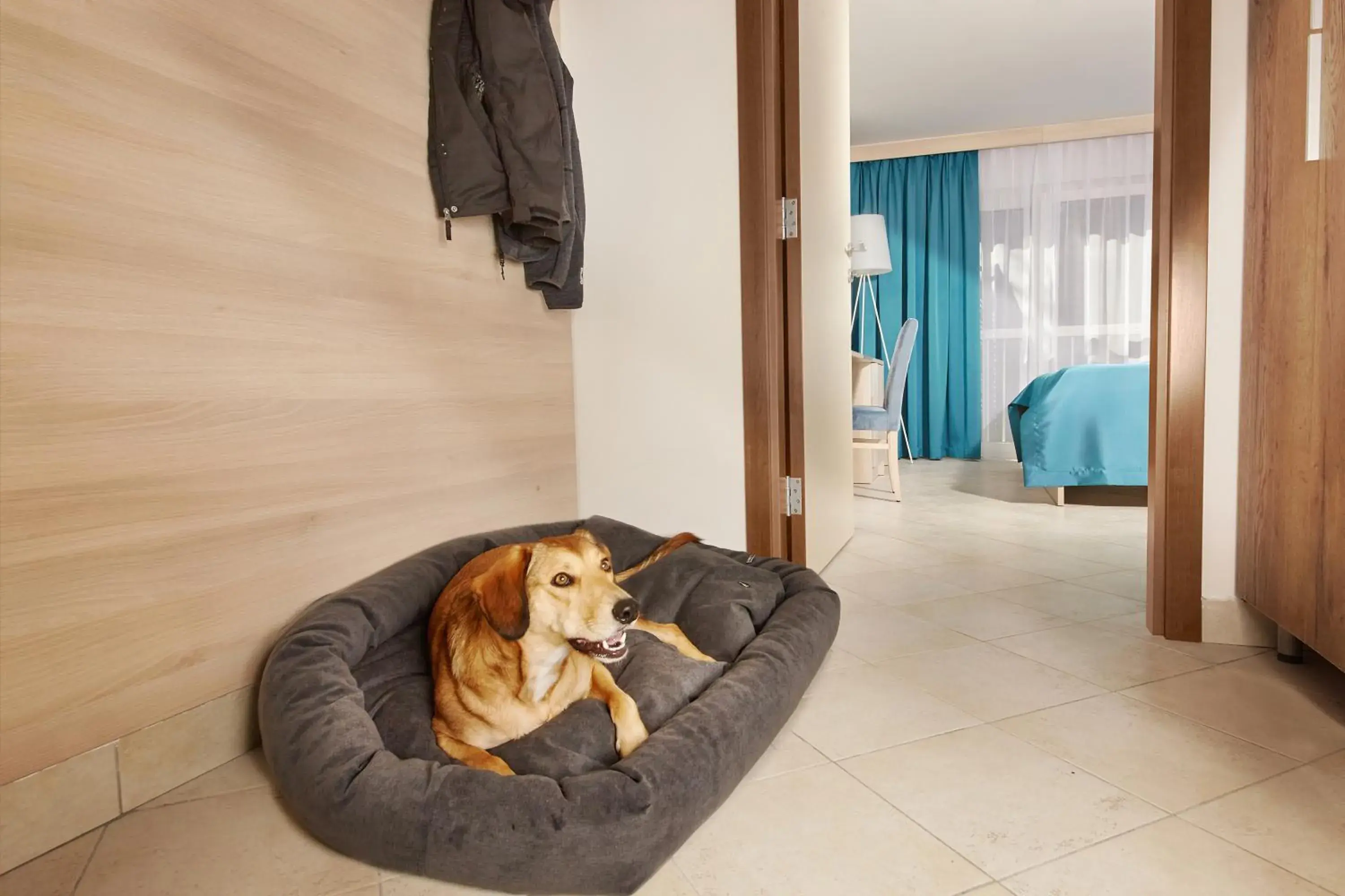 Standard Triple Room in Villas - Hotel & Resort Adria Ankaran Standard Triple Room in Villas - Hotel & Resort Adria Ankaran