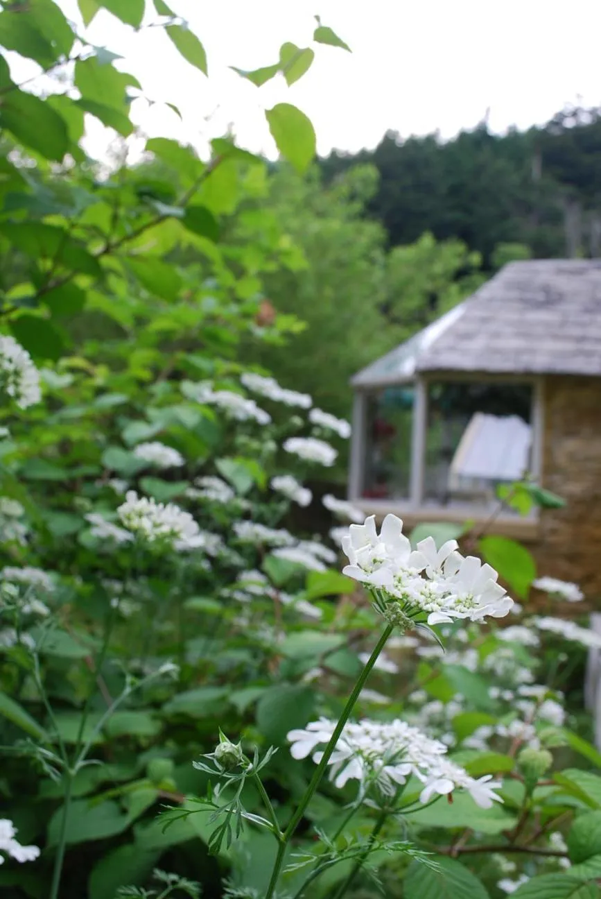 Spring in Dreamton Village