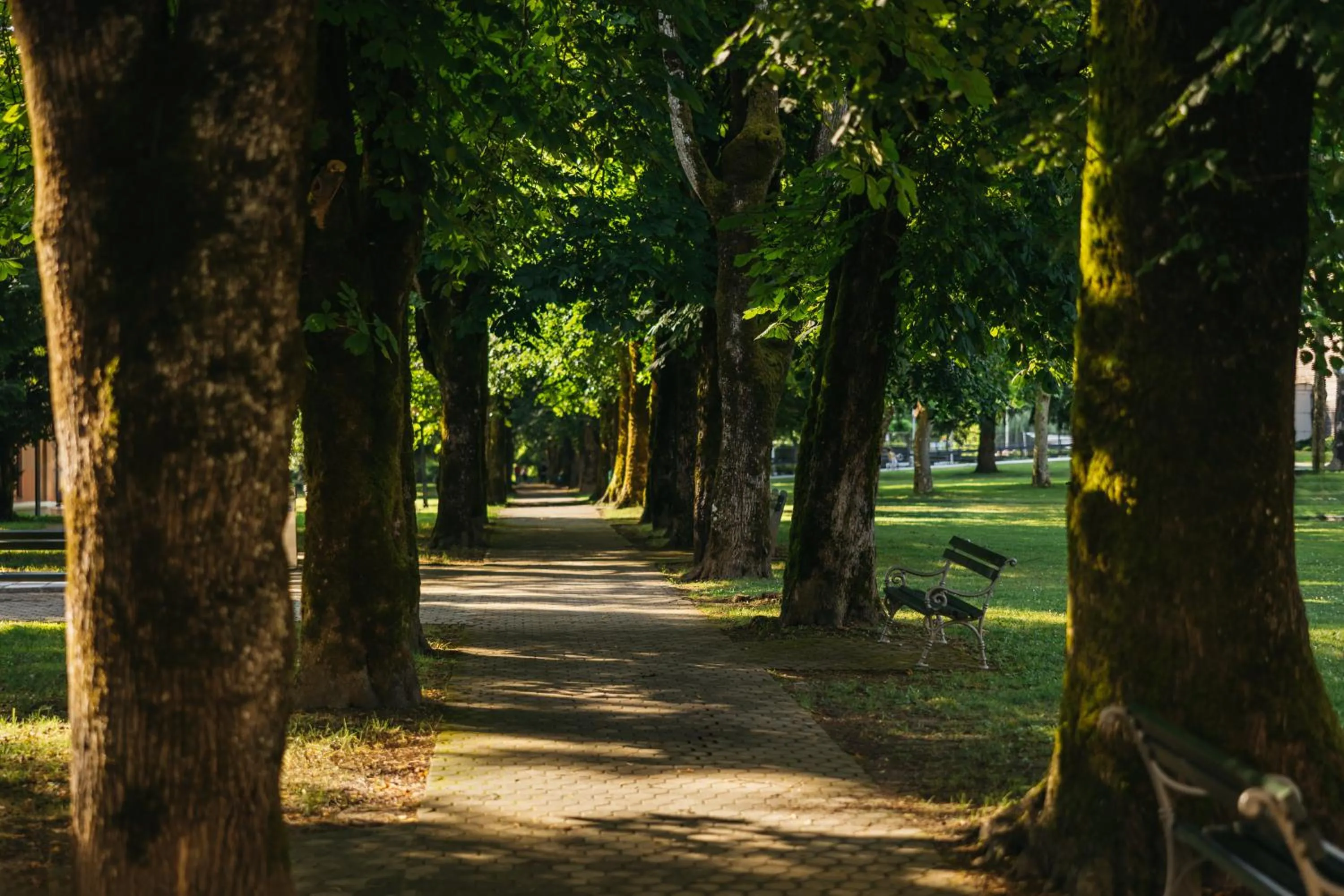 Garden in Hotel Kristal - Terme Krka