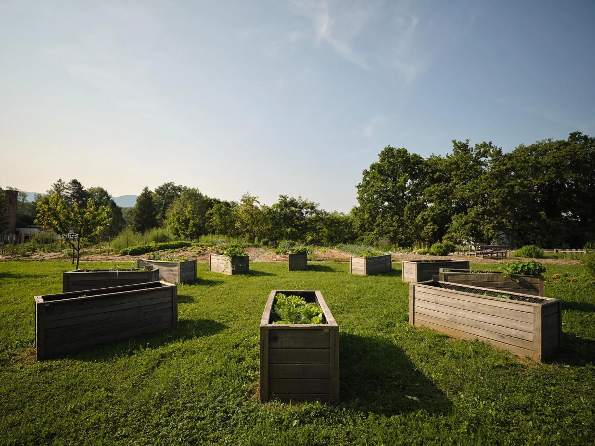Garden in Hotel Sport - Terme Krka
