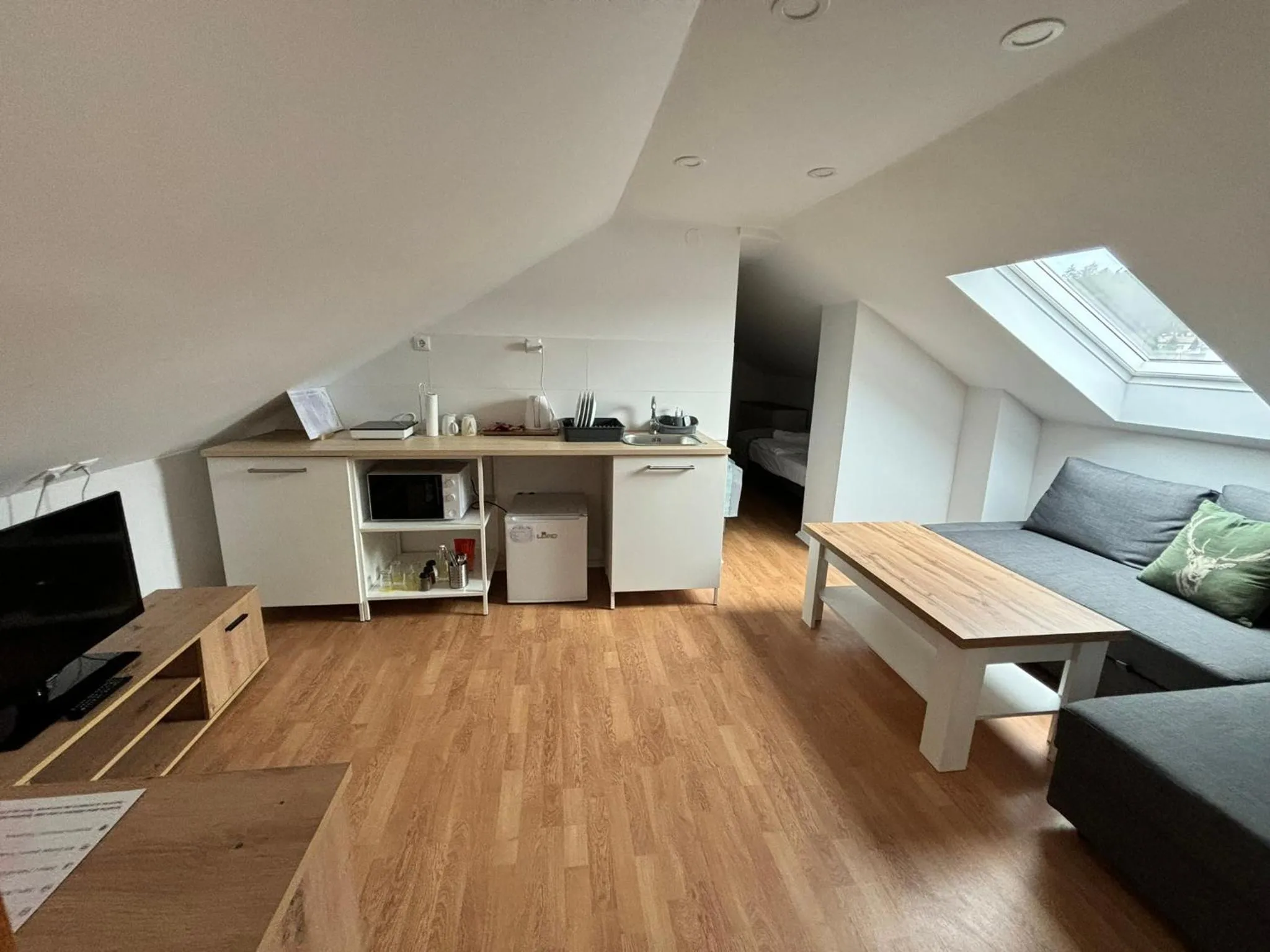 TV and multimedia in Hotel Pohorje