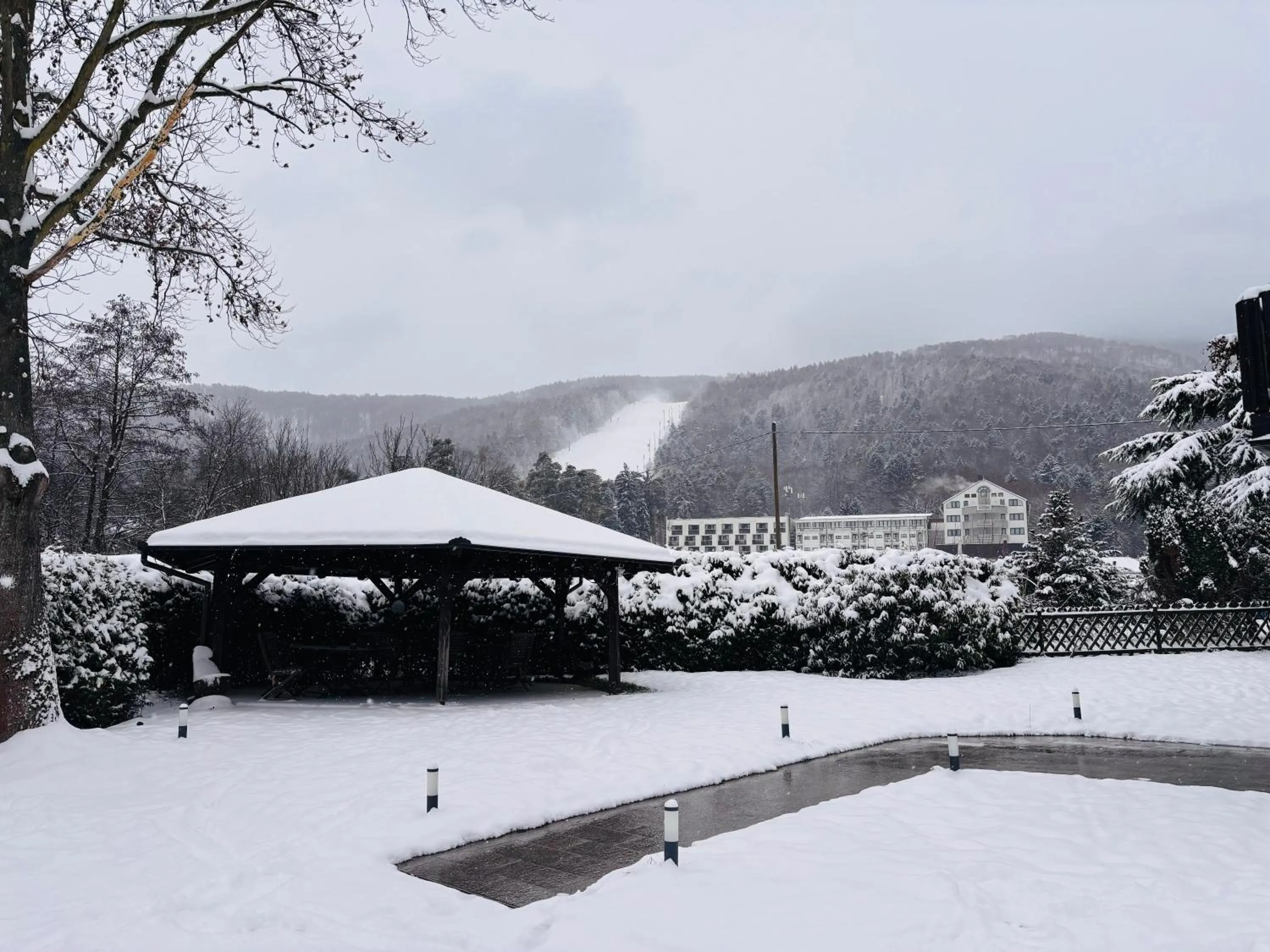 Natural landscape in Hotel Pohorje